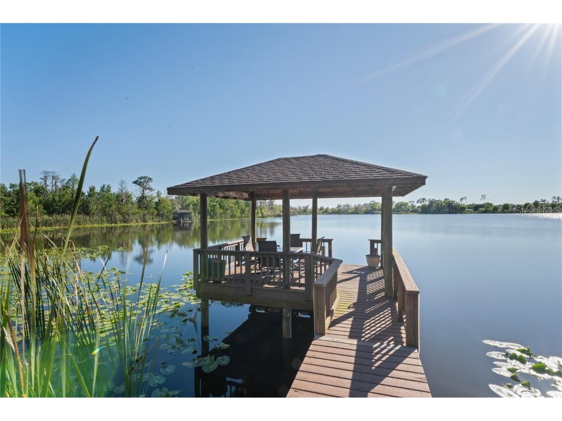 21604 Draycott Way Land O Lakes FL 34637 - Bay Lake TB8444622 image94