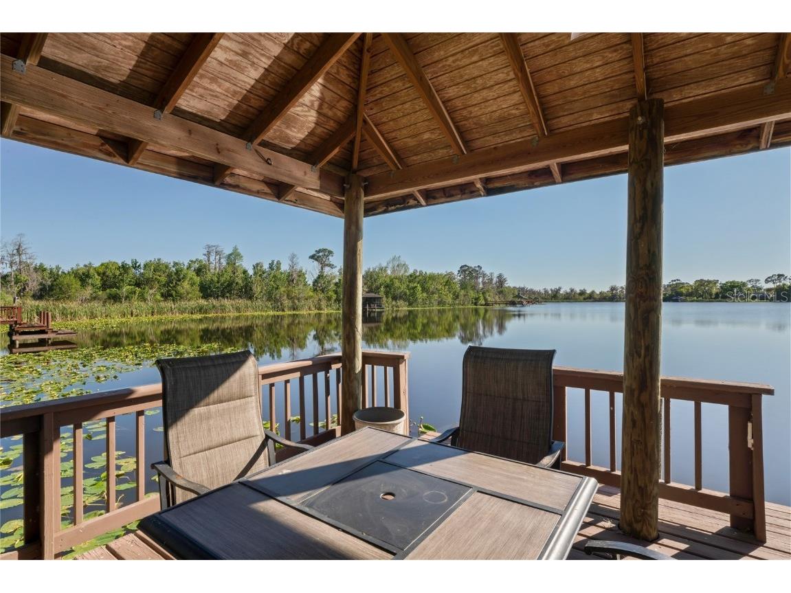 21604 Draycott Way Land O Lakes FL 34637 - Bay Lake TB8444622 image95