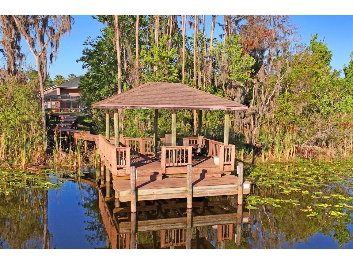21604 Draycott Way Land O Lakes FL 34637 - Bay Lake TB8444622 image96