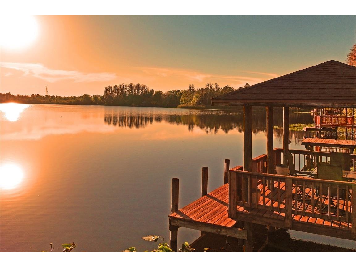 21604 Draycott Way Land O Lakes FL 34637 - Bay Lake TB8444622 image98