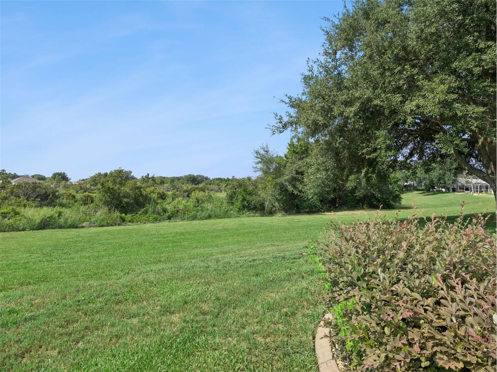 21606 King Henry Avenue Leesburg FL 34748 G5114421 image32