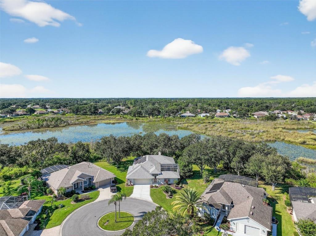 21607 Regency Park Lane Leesburg FL 34748 G5102512 image43