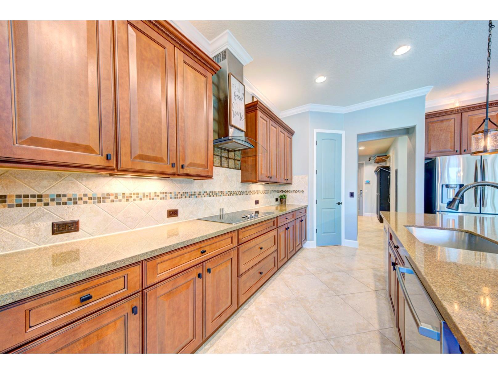 21608 Sullivan Ranch Boulevard Mount Dora FL 32757 O6372777 image19