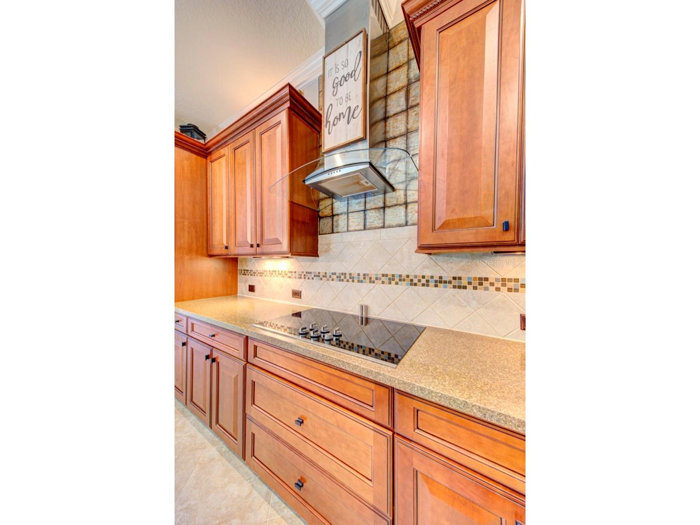 21608 Sullivan Ranch Boulevard Mount Dora FL 32757 O6372777 image21