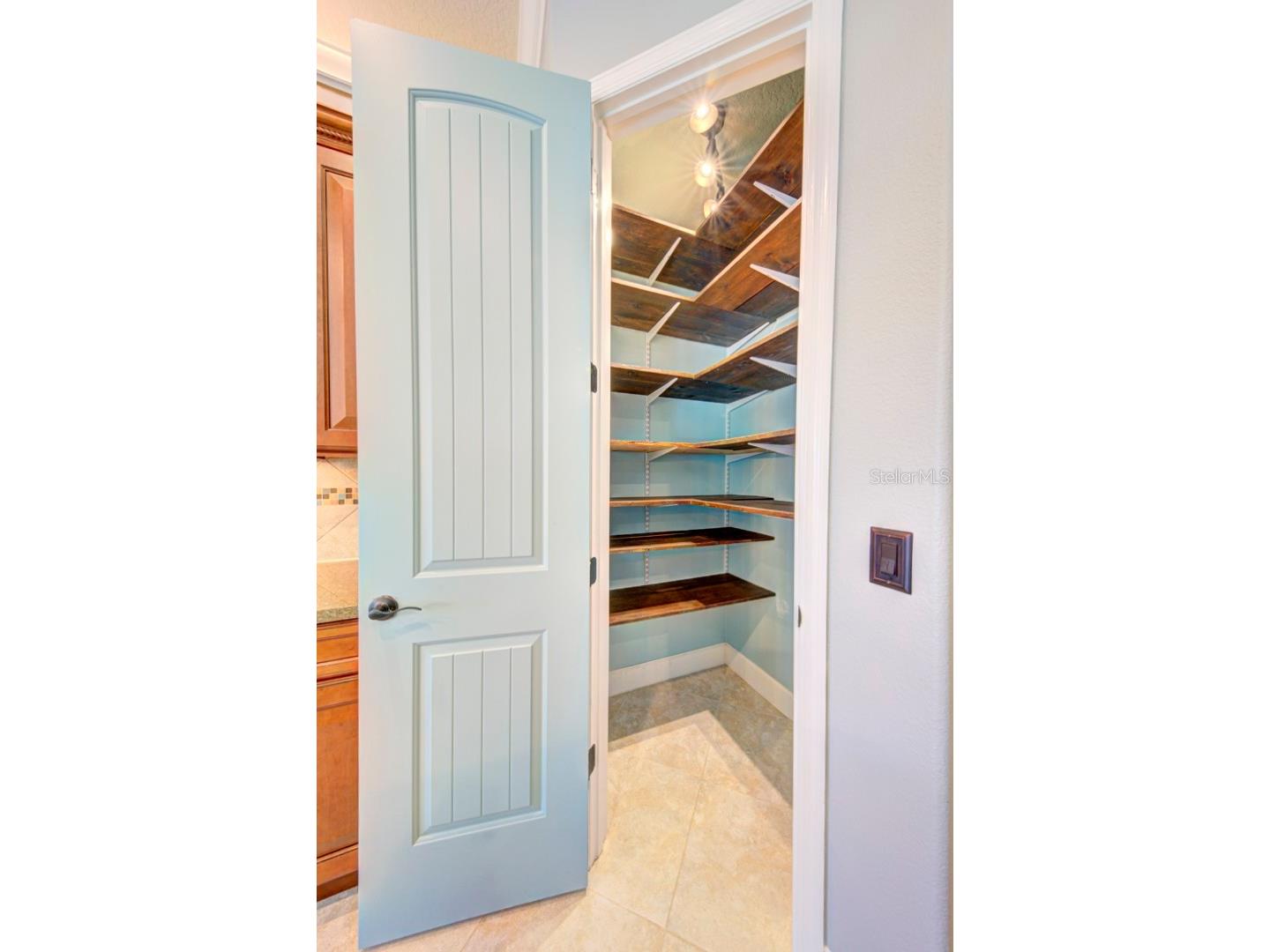 21608 Sullivan Ranch Boulevard Mount Dora FL 32757 O6372777 image22