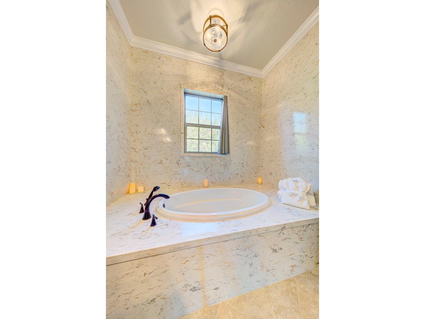 21608 Sullivan Ranch Boulevard Mount Dora FL 32757 O6372777 image36