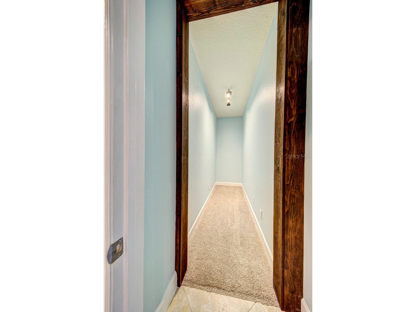 21608 Sullivan Ranch Boulevard Mount Dora FL 32757 O6372777 image57