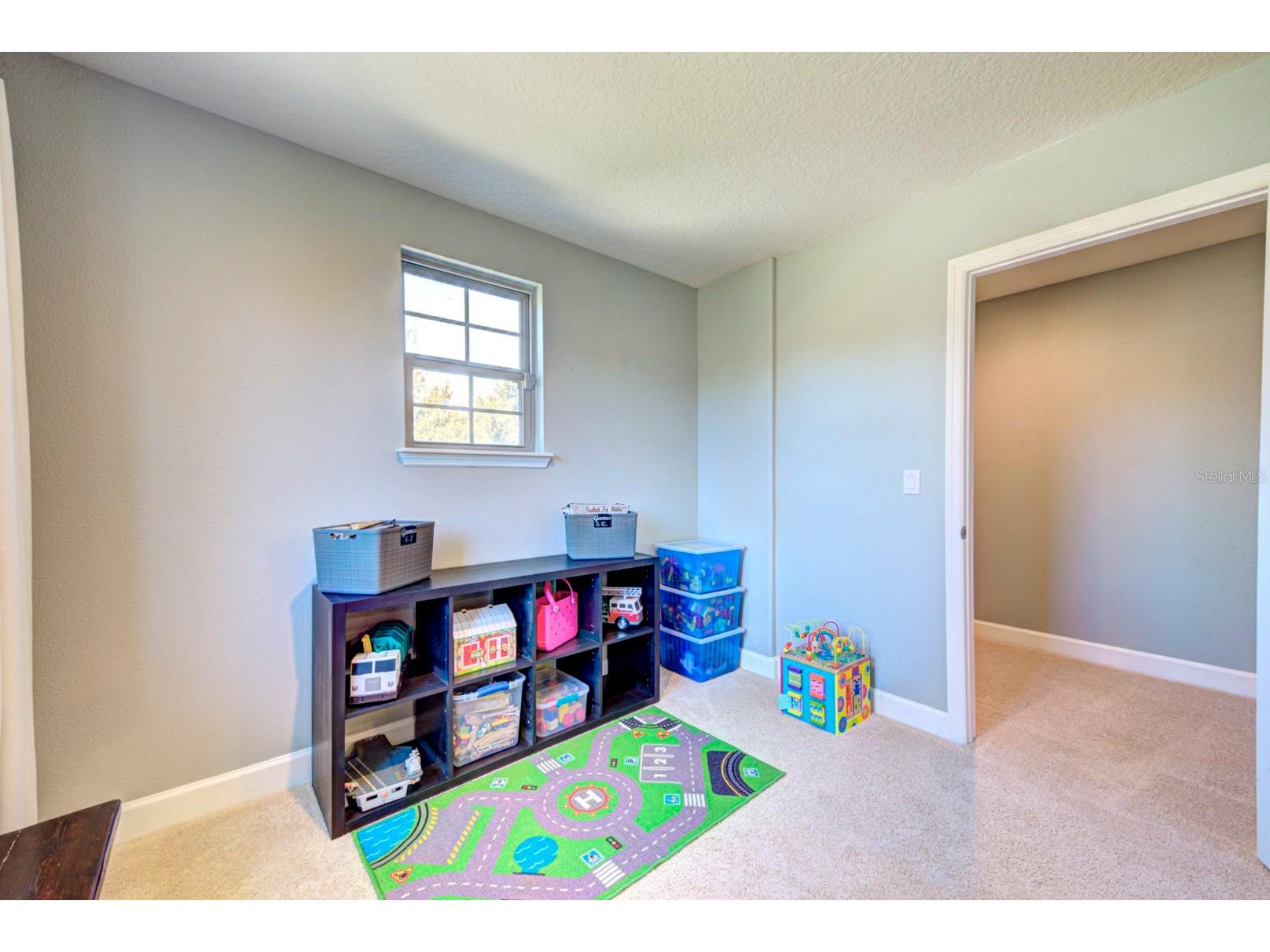 21608 Sullivan Ranch Boulevard Mount Dora FL 32757 O6372777 image65