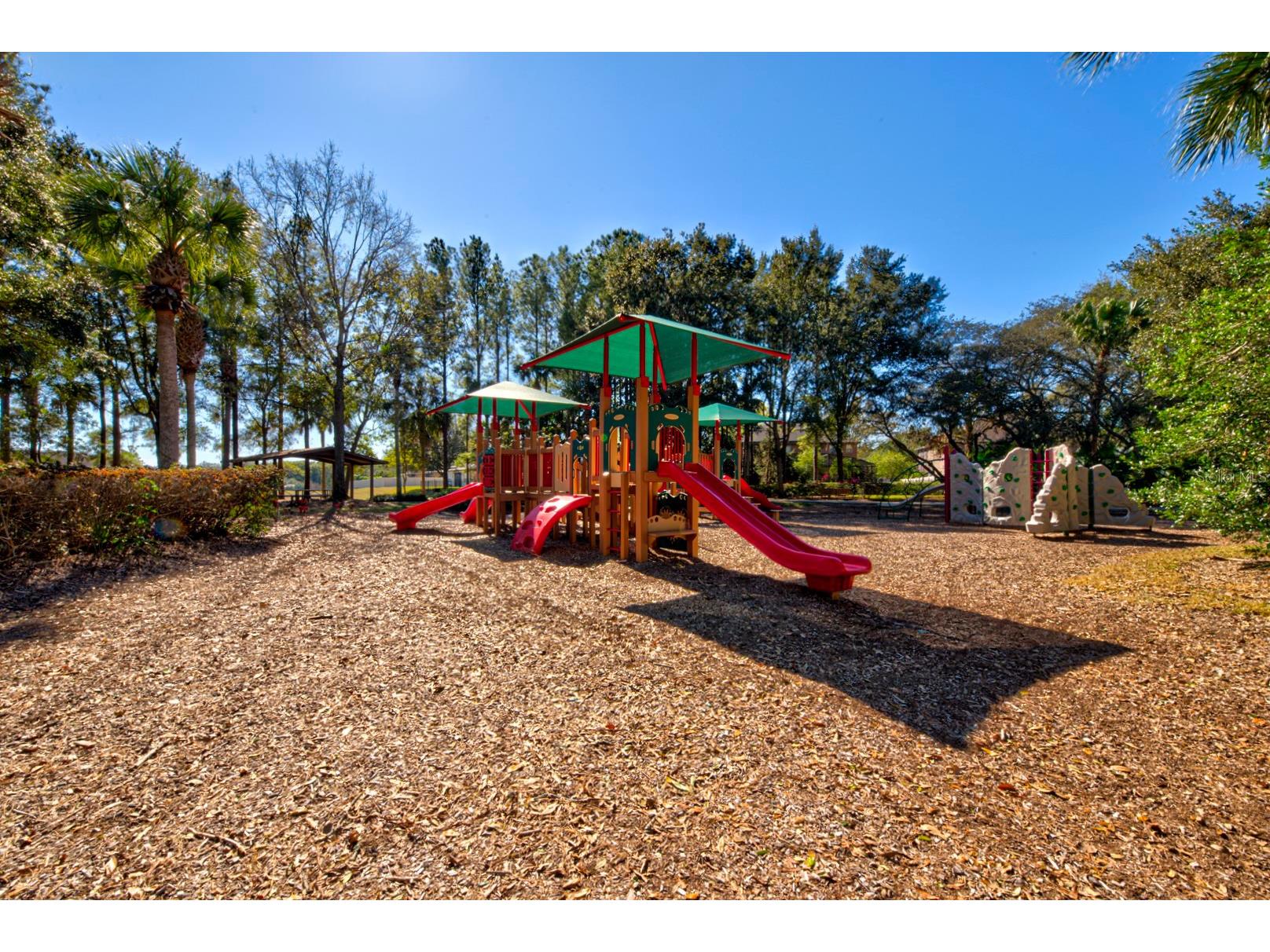 21608 Sullivan Ranch Boulevard Mount Dora FL 32757 O6372777 image93