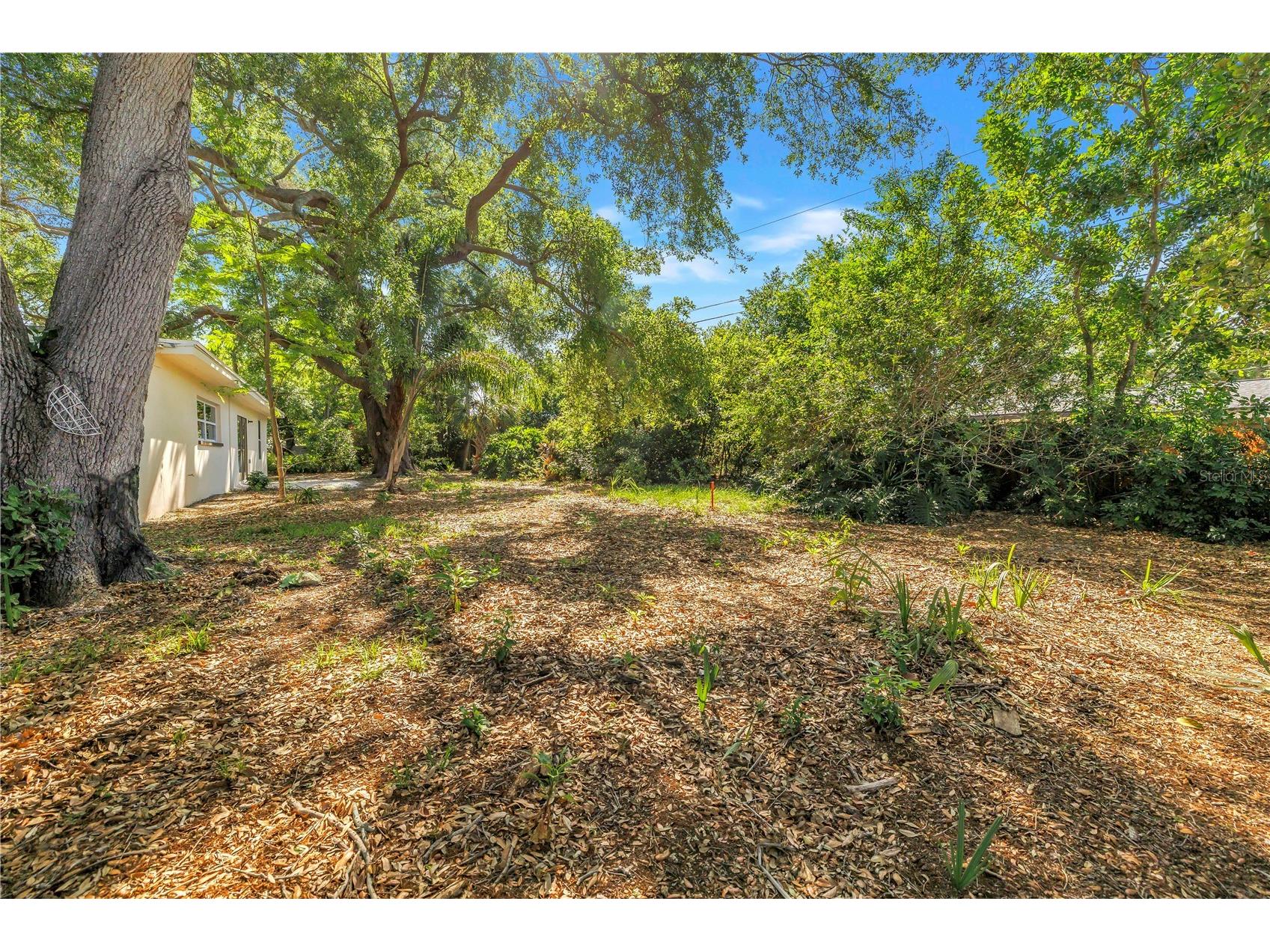 2161 NE Hillwood Court Clearwater FL 33763 TB8501733 image38