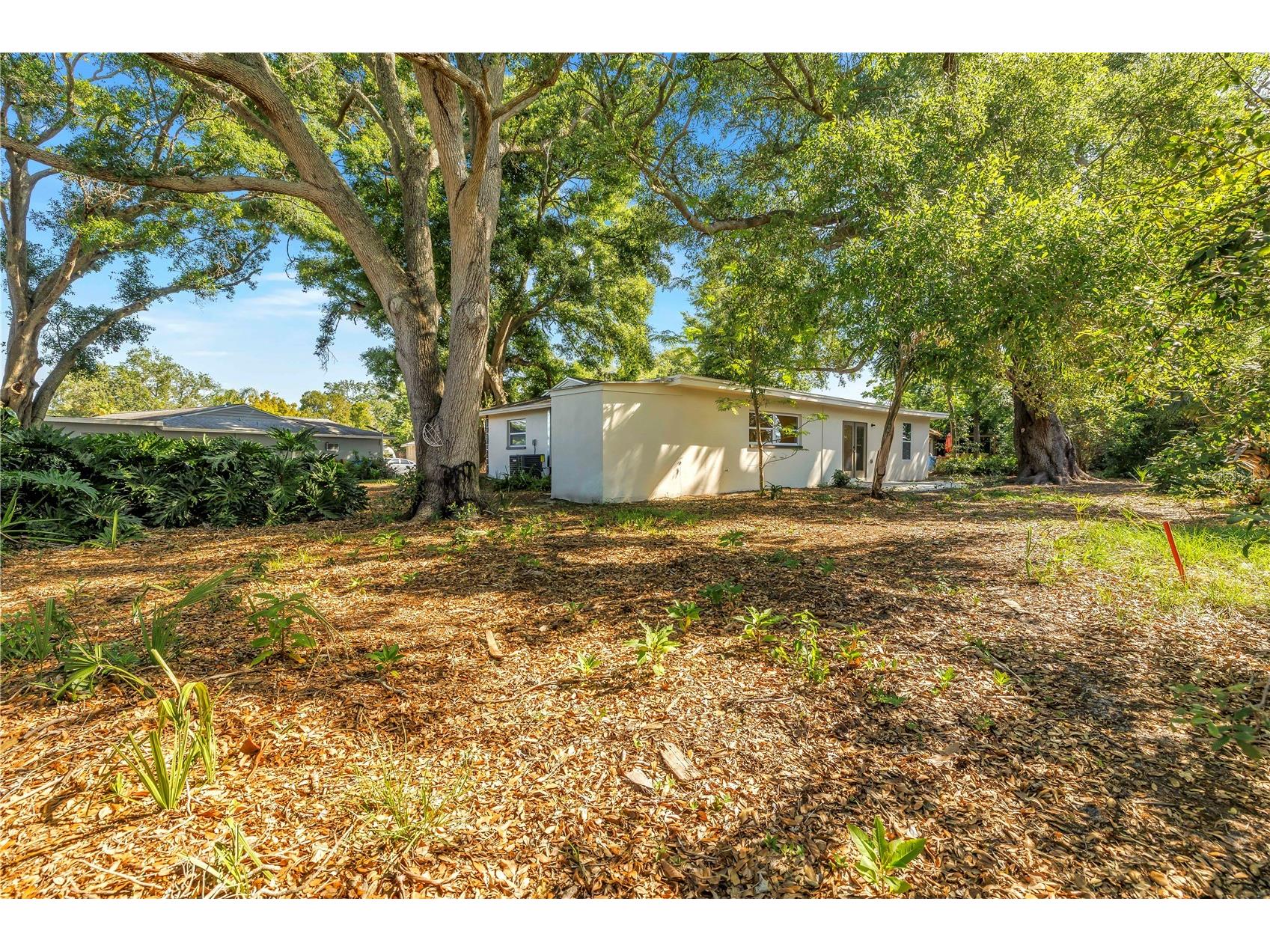 2161 NE Hillwood Court Clearwater FL 33763 TB8501733 image39