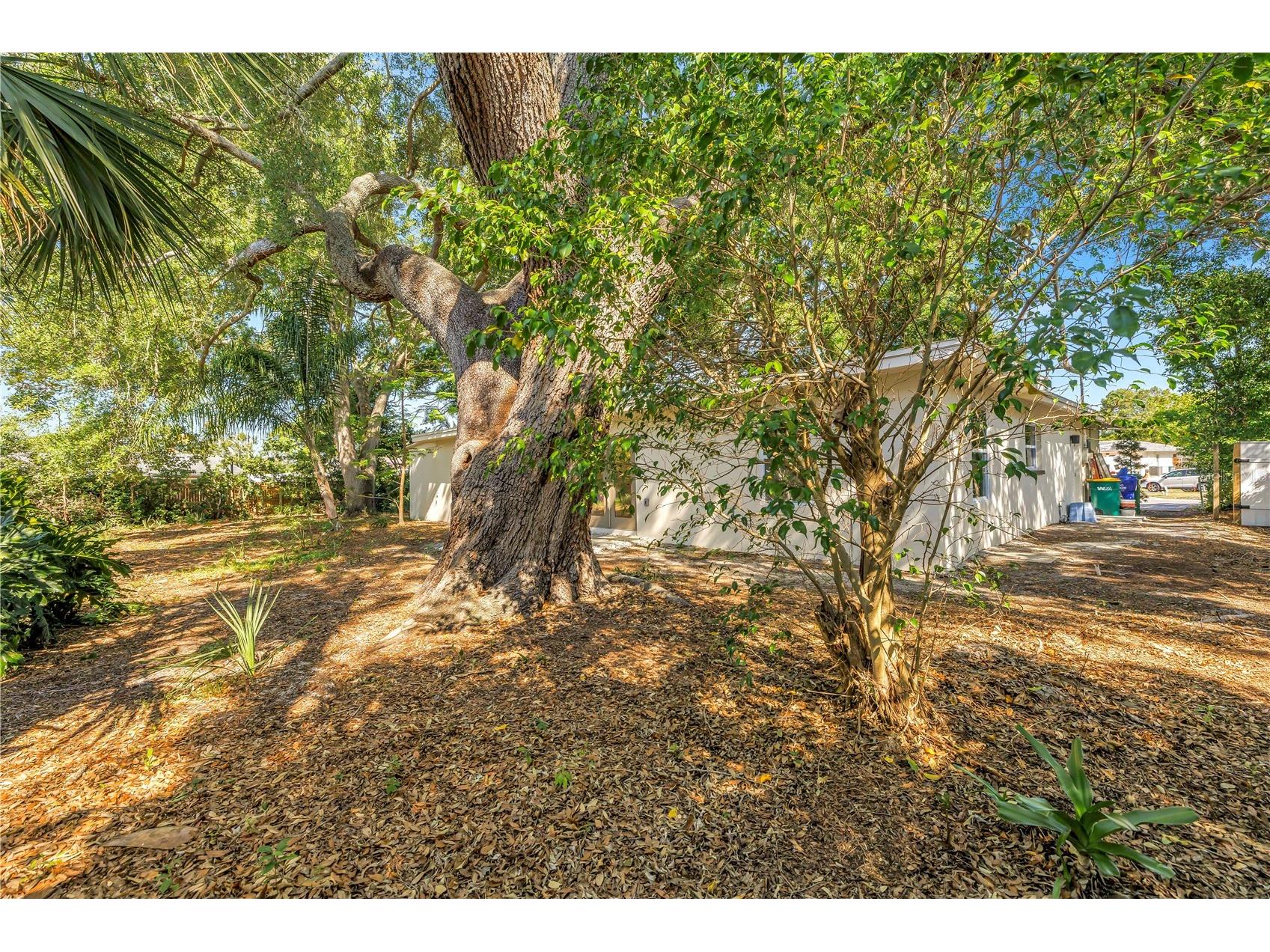 2161 NE Hillwood Court Clearwater FL 33763 TB8501733 image41