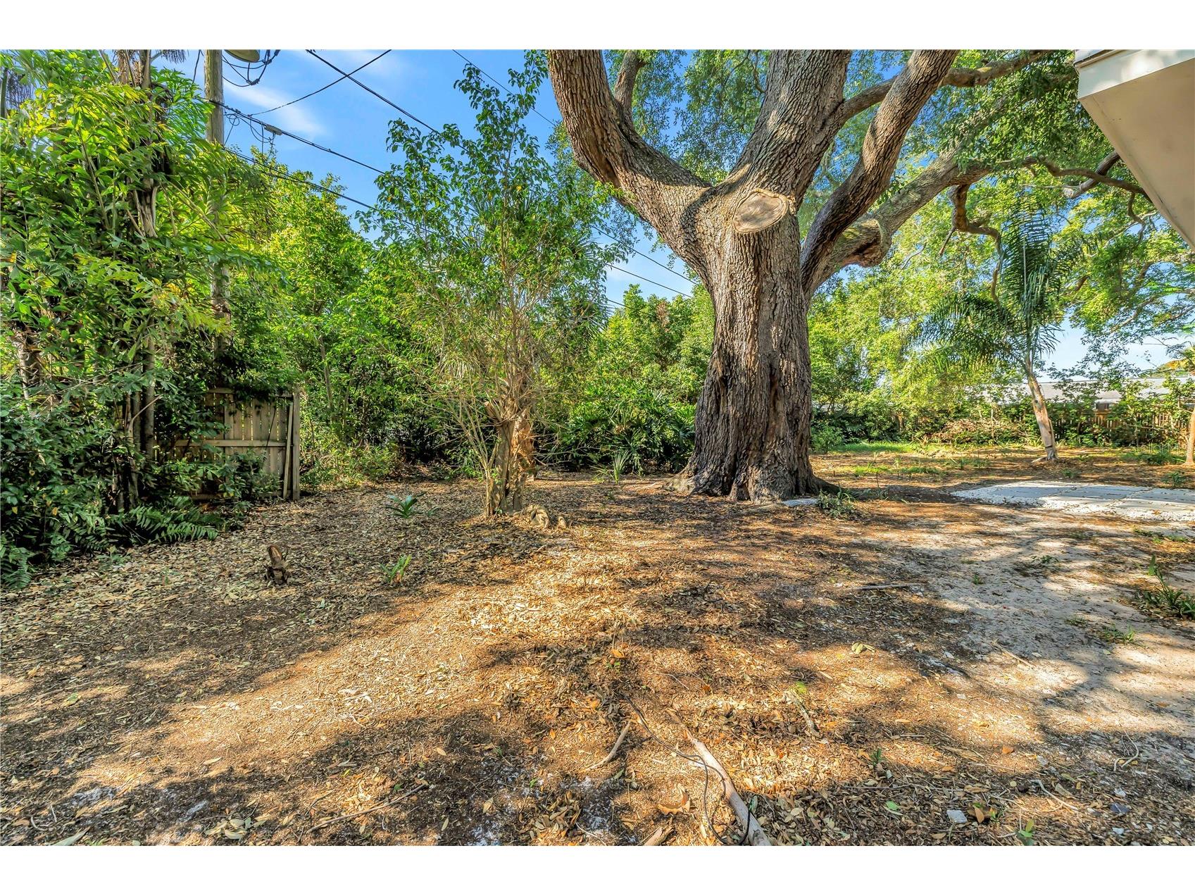 2161 NE Hillwood Court Clearwater FL 33763 TB8501733 image42