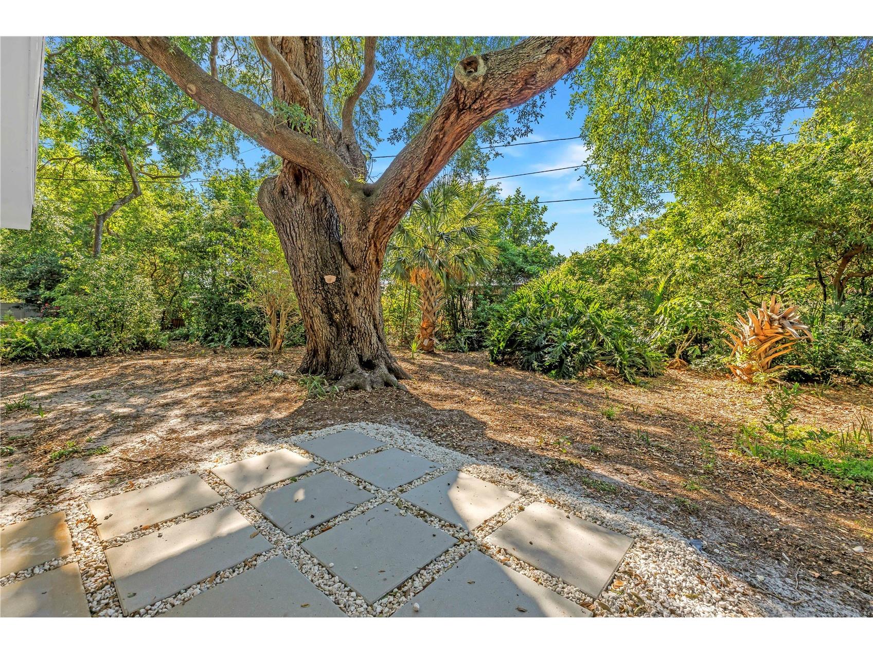 2161 NE Hillwood Court Clearwater FL 33763 TB8501733 image43