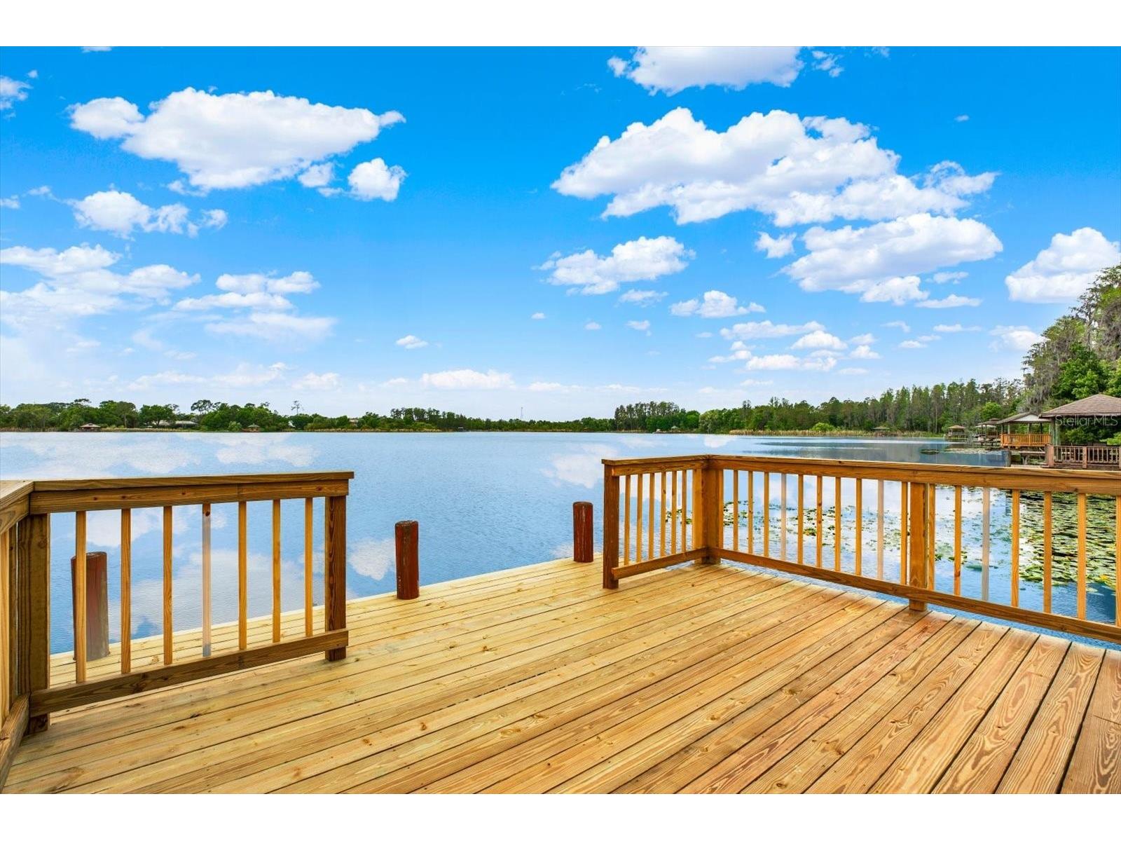 21610 Draycott Way Land O Lakes FL 34637 - BAY LAKE TB8498737 image37
