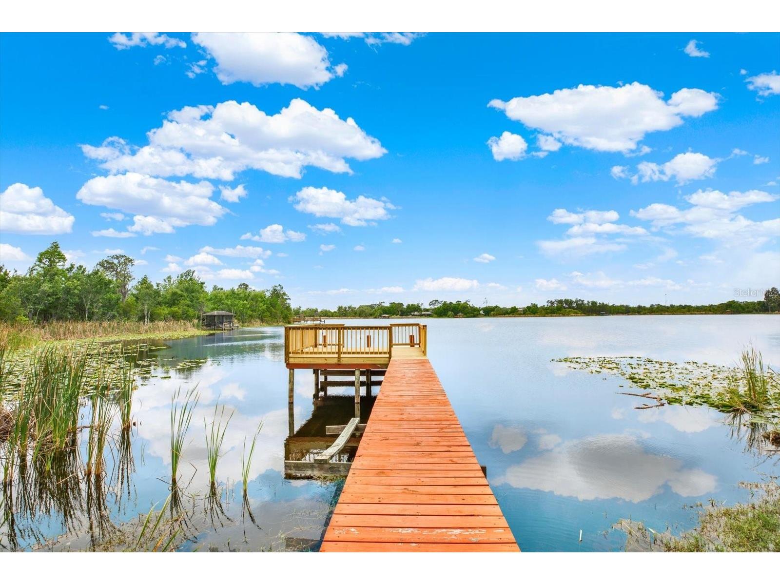 21610 Draycott Way Land O Lakes FL 34637 - BAY LAKE TB8498737 image4