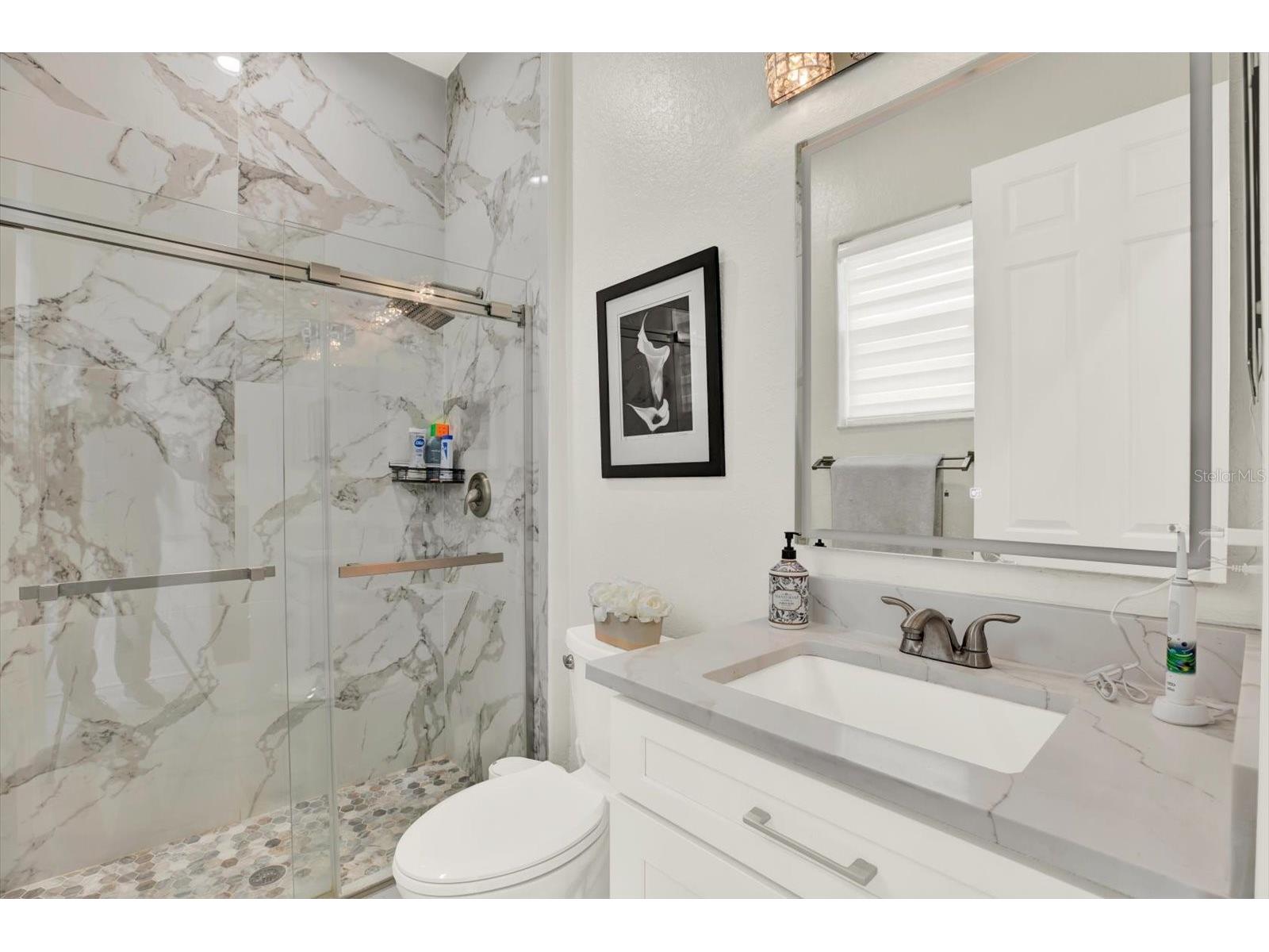 21610 Draycott Way Land O Lakes FL 34637 - BAY LAKE TB8498737 image45