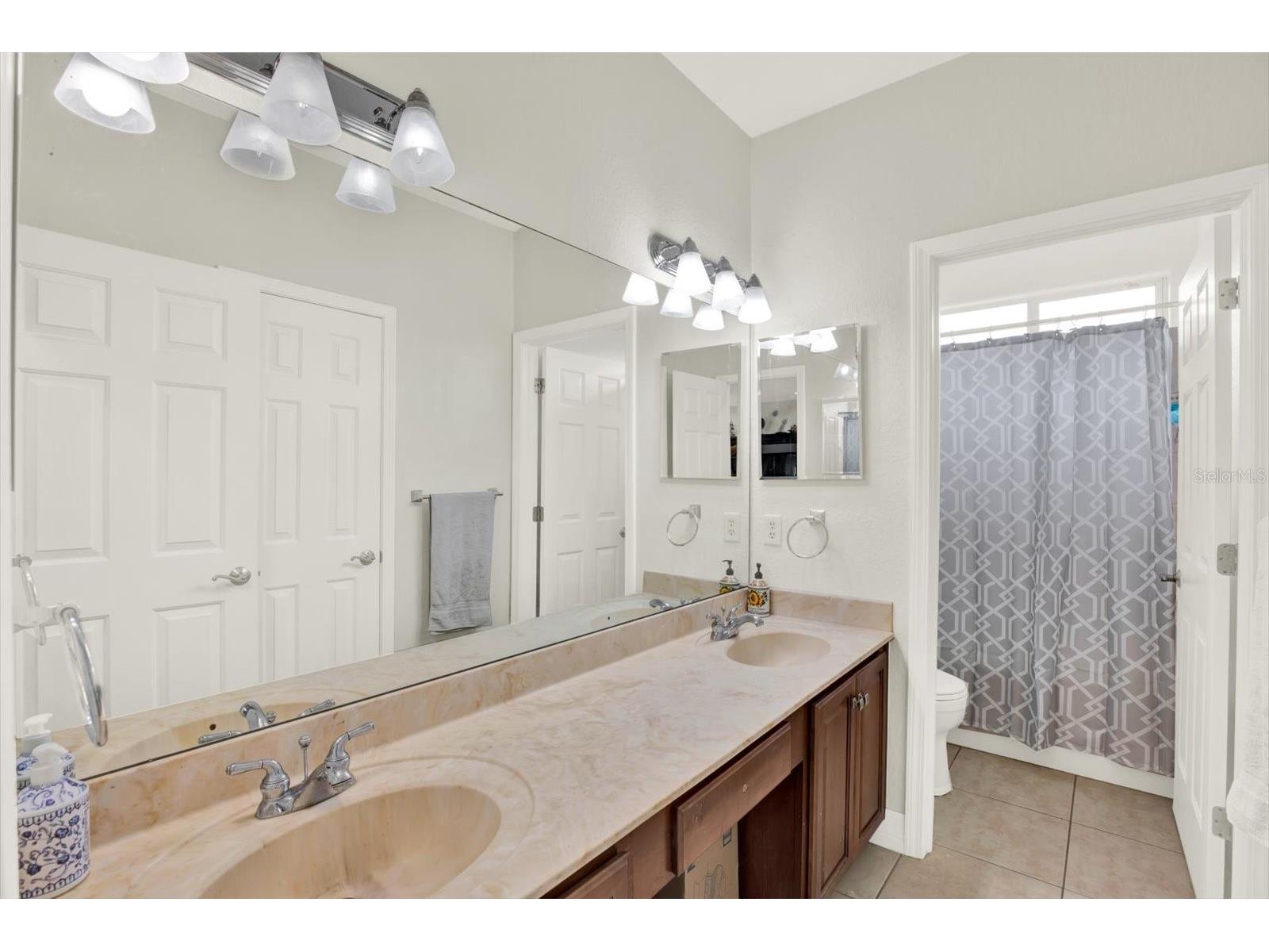 21610 Draycott Way Land O Lakes FL 34637 - BAY LAKE TB8498737 image49