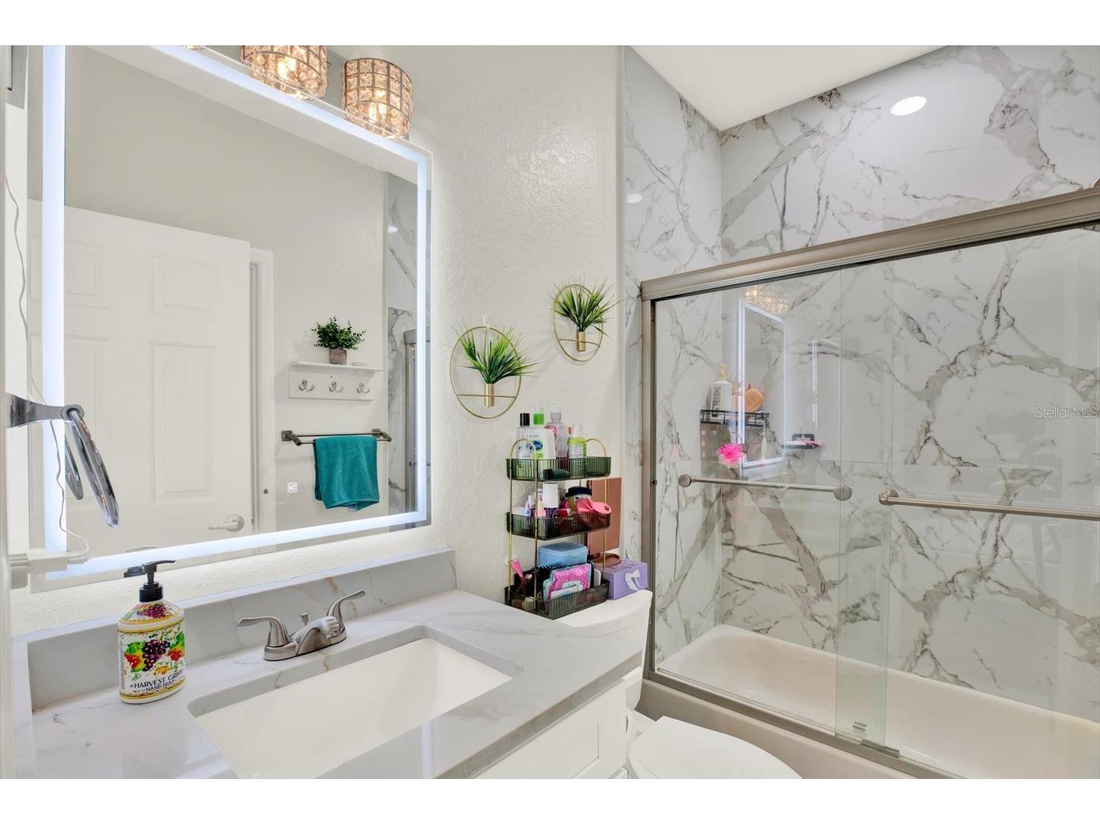 21610 Draycott Way Land O Lakes FL 34637 - BAY LAKE TB8498737 image52