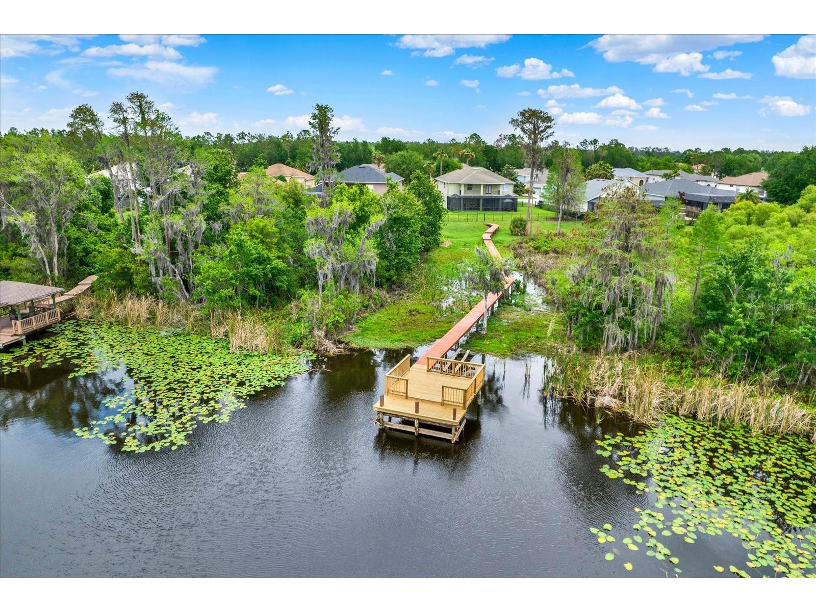 21610 Draycott Way Land O Lakes FL 34637 - BAY LAKE TB8498737 image6