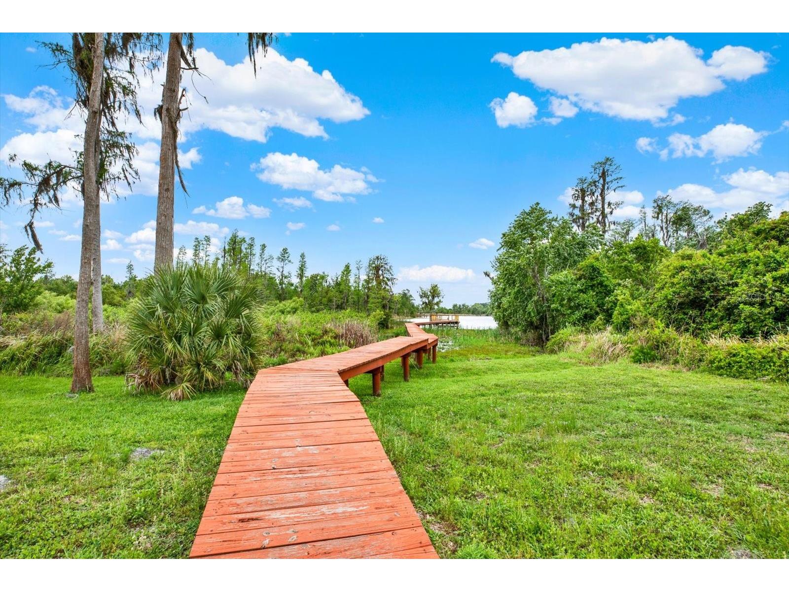 21610 Draycott Way Land O Lakes FL 34637 - BAY LAKE TB8498737 image62