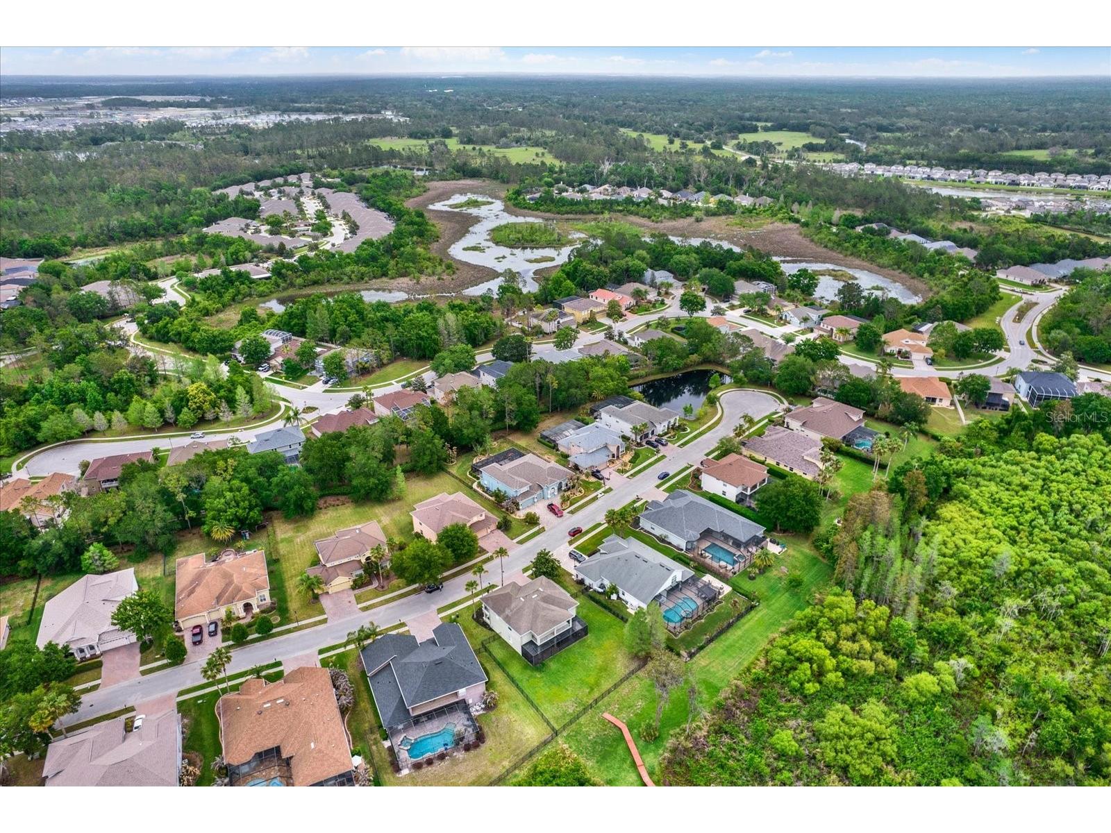 21610 Draycott Way Land O Lakes FL 34637 - BAY LAKE TB8498737 image64