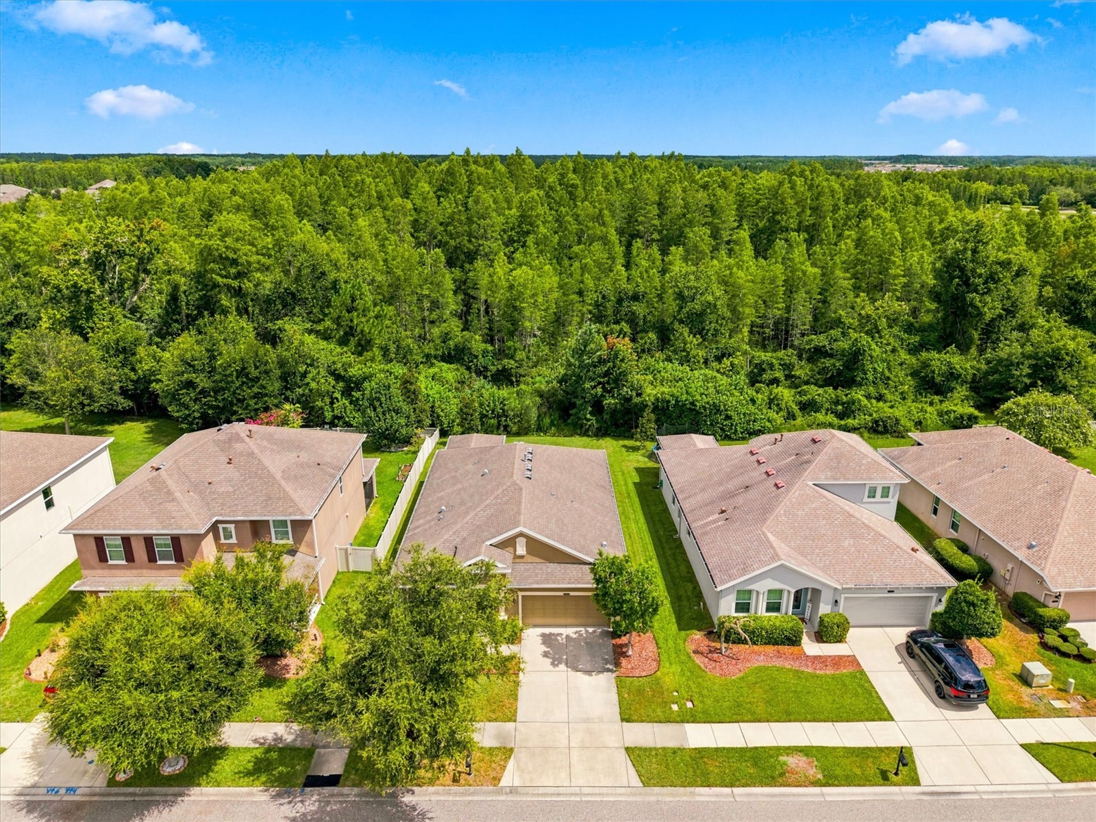 21613 Southern Charm Drive #DR Land O Lakes FL 34637 TB8523357 image2