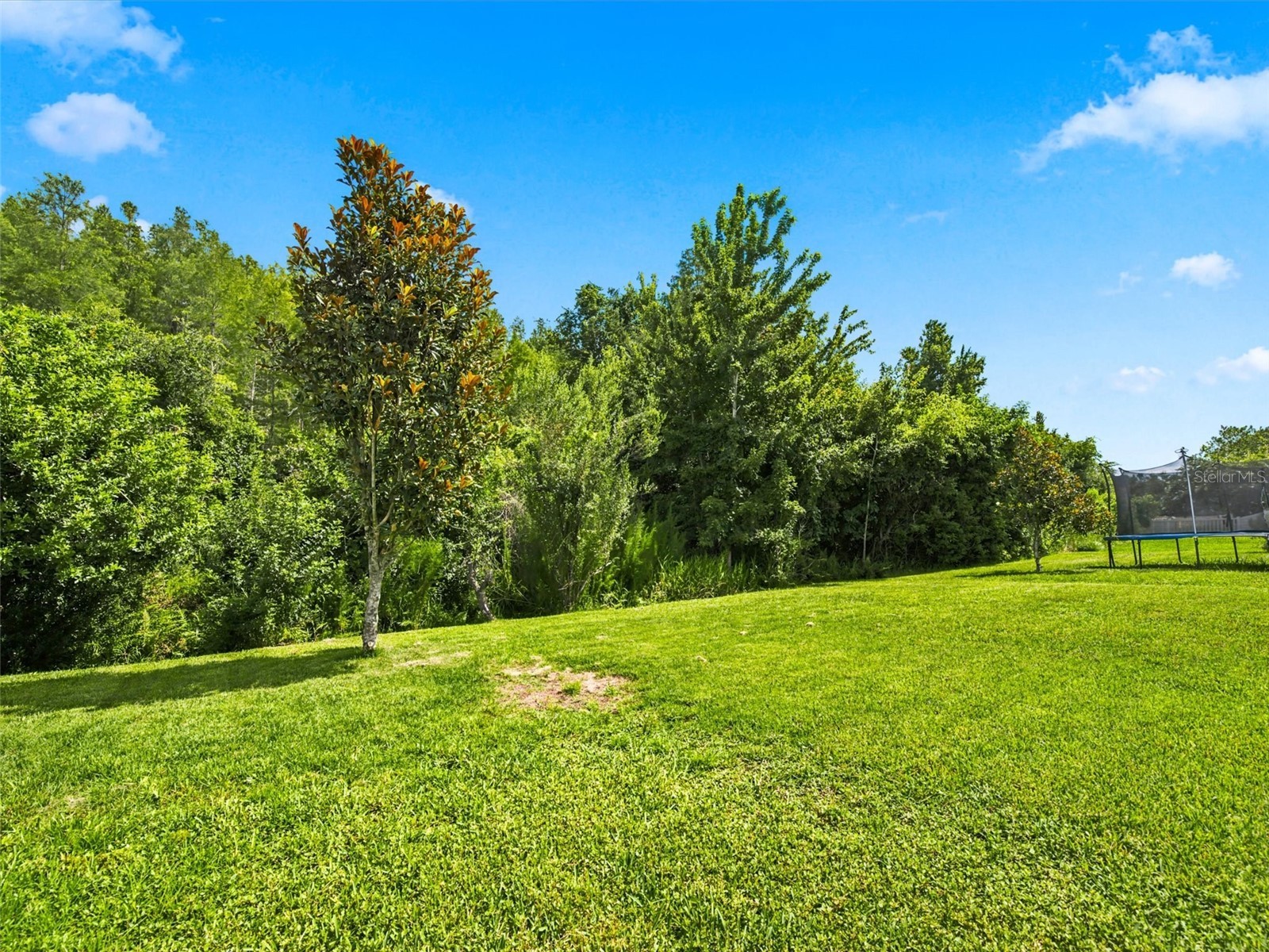 21613 Southern Charm Drive #DR Land O Lakes FL 34637 TB8523357 image25