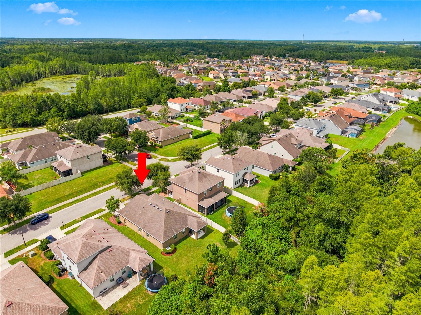 21613 Southern Charm Drive #DR Land O Lakes FL 34637 TB8523357 image27