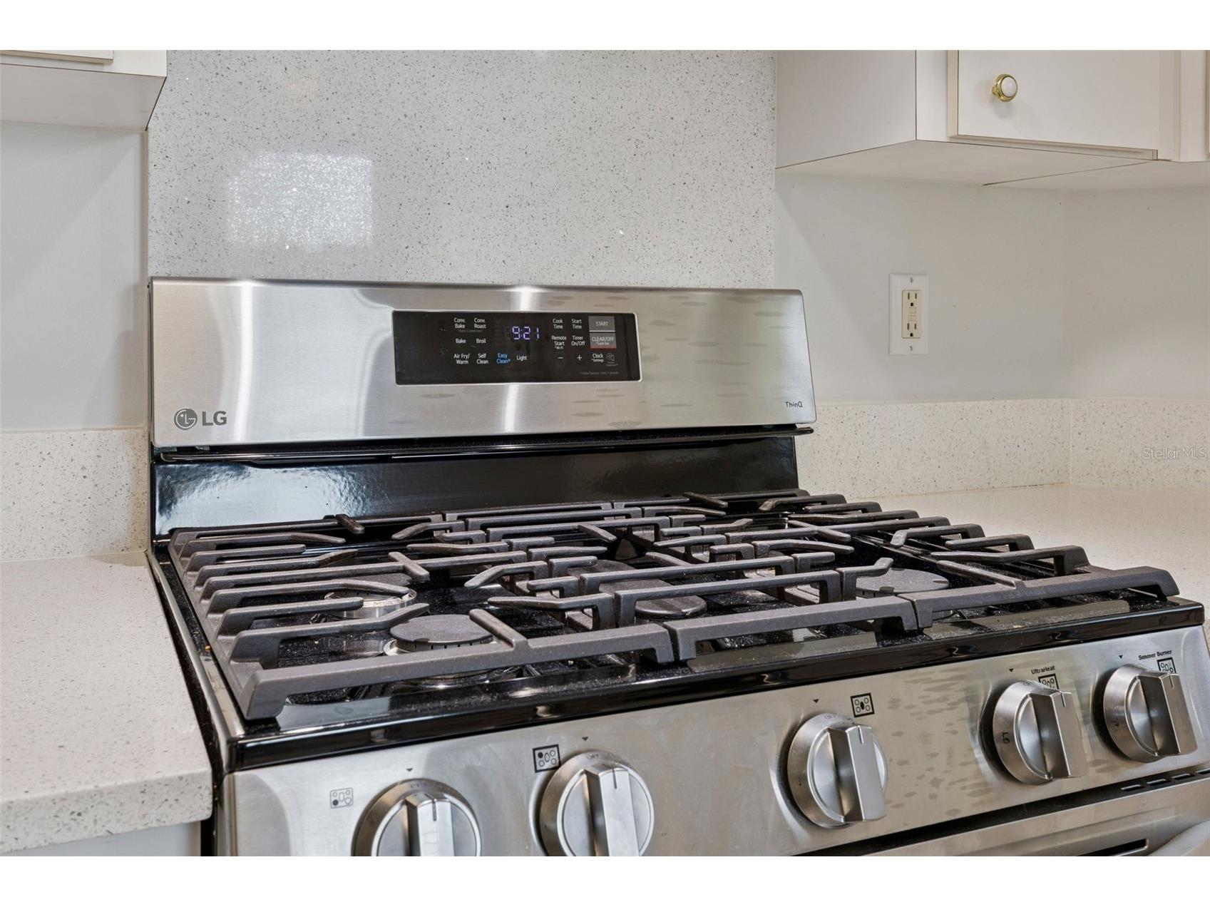 21617 Queen Elizabeth Court Leesburg FL 34748 G5109280 image14