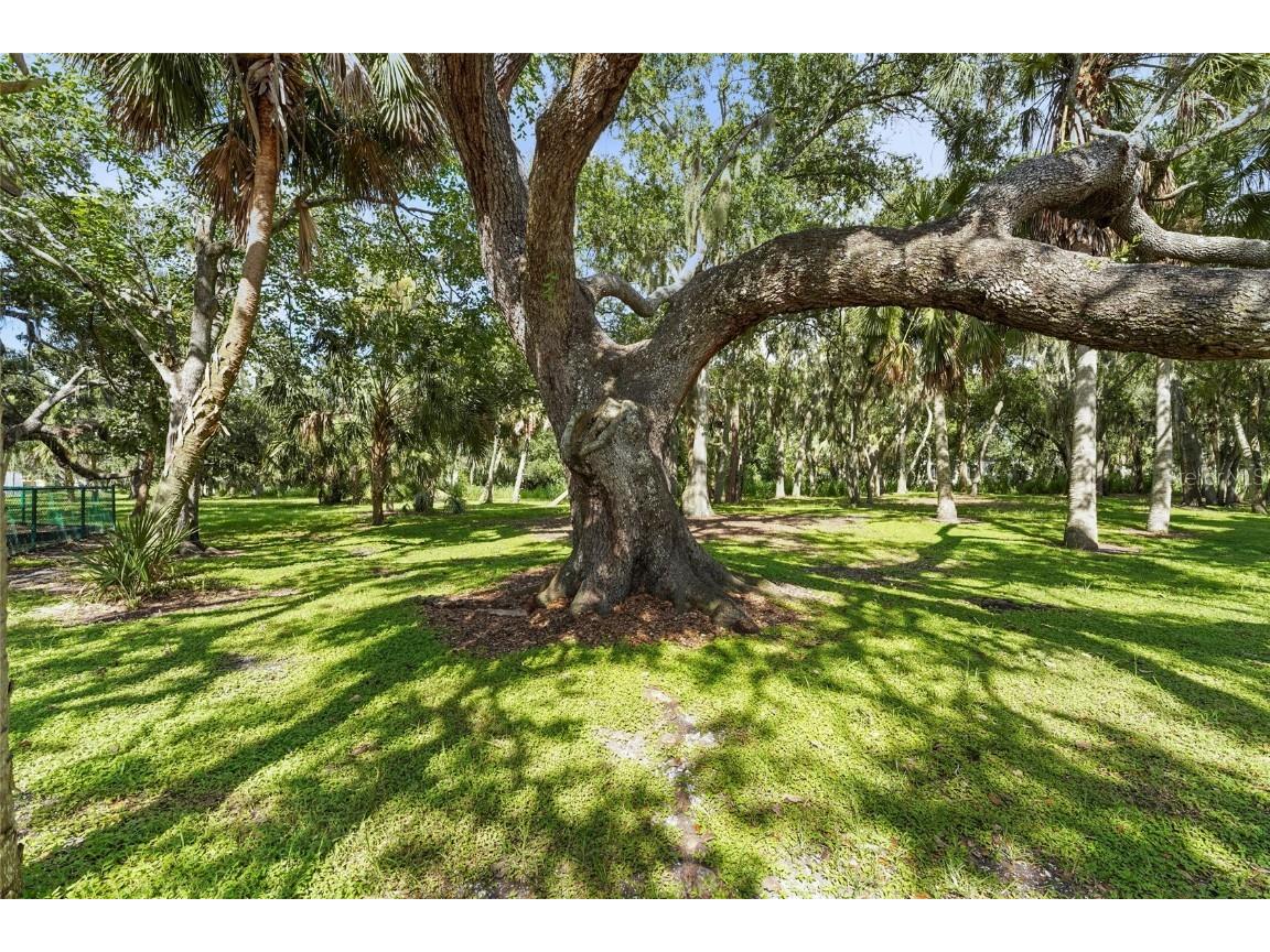 2162 Cork Oak Street Sarasota FL 34232 A4660428 image67