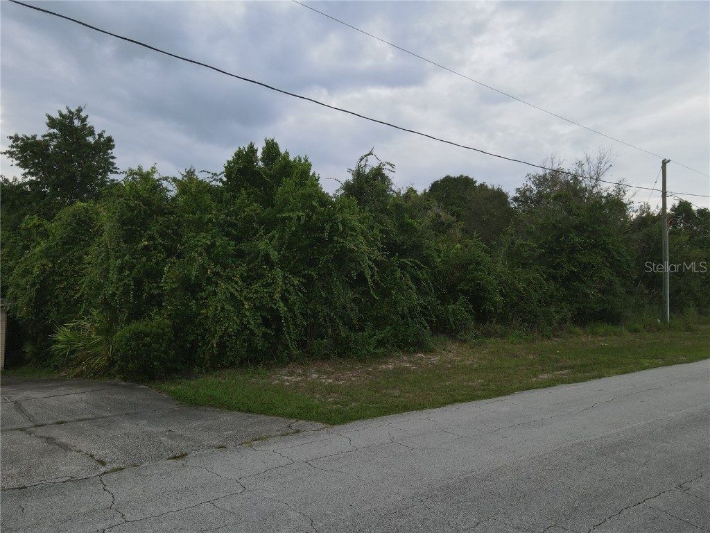 2162 E Gloria Drive Deltona FL 32725 V4938087 image1