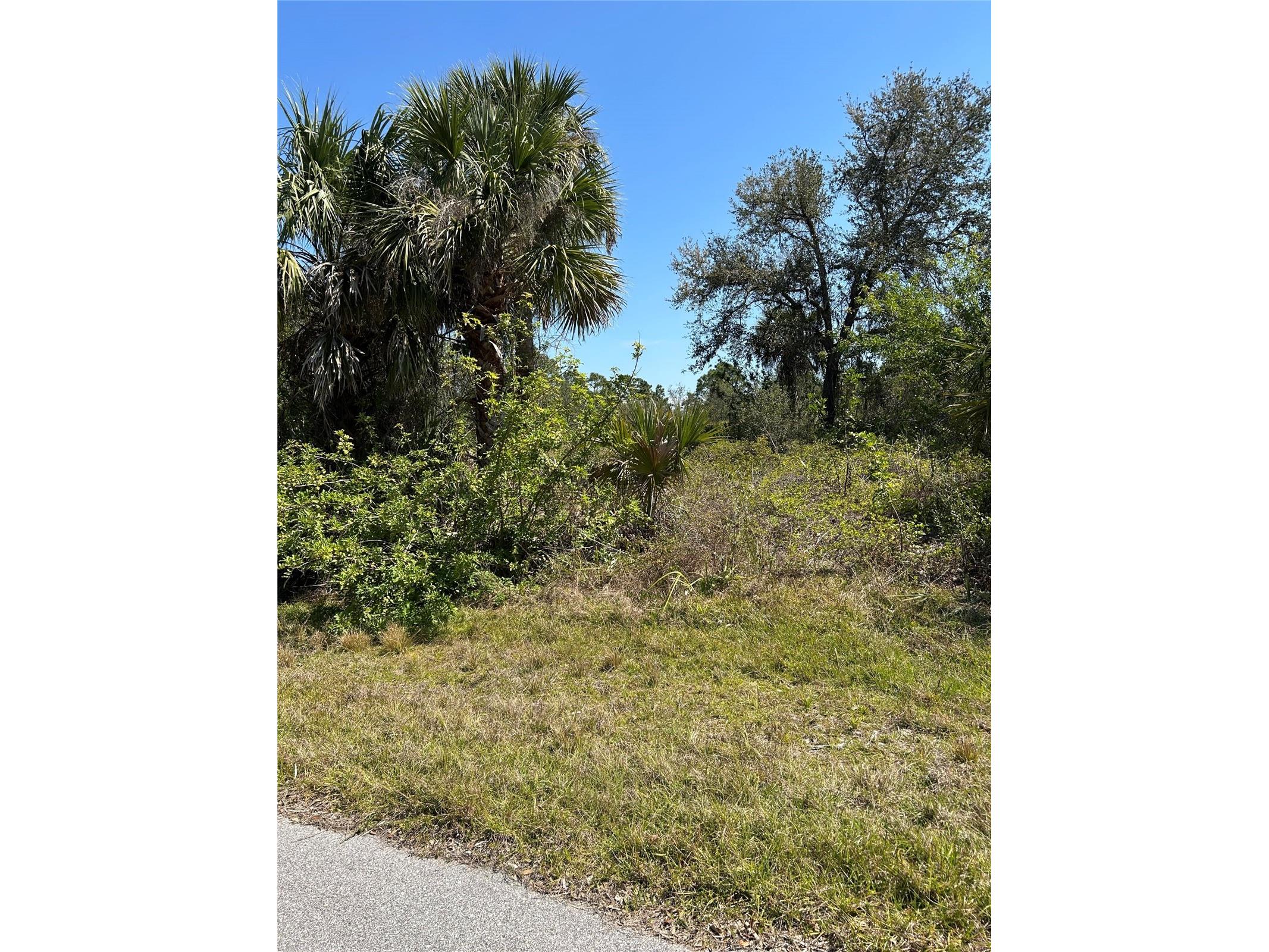 2162 Seward Street Port Charlotte FL 33953 O6428059 image2