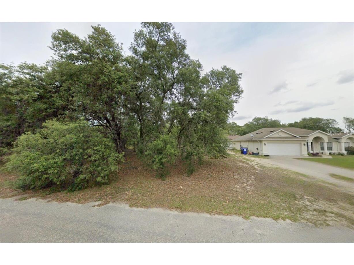 2162 W Swanson Drive Citrus Springs FL 34434 TB8448706 image1