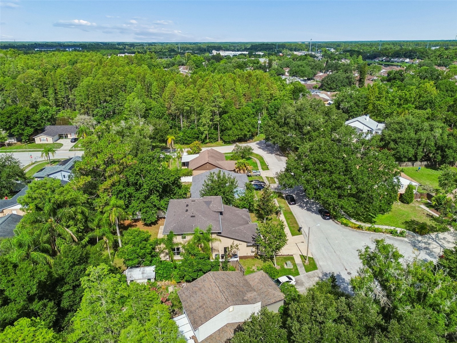 21620 Teal Court Lutz FL 33549 TB8525991 image51