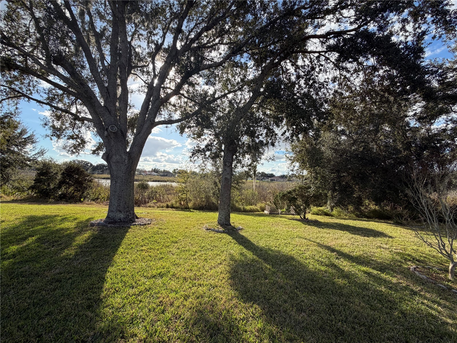 21623 Regency Park Lane Leesburg FL 34748 O6372801 image33