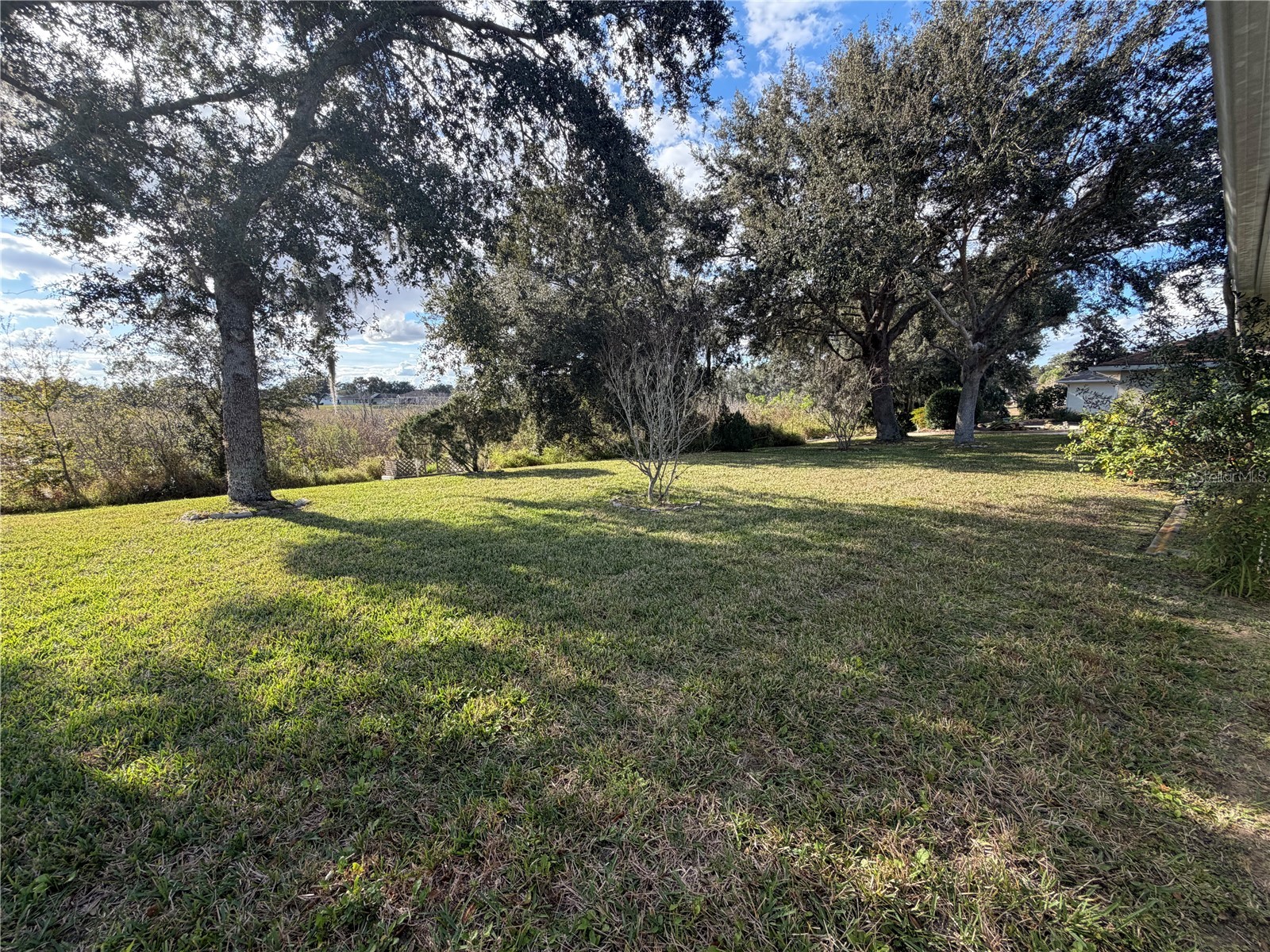 21623 Regency Park Lane Leesburg FL 34748 O6372801 image34