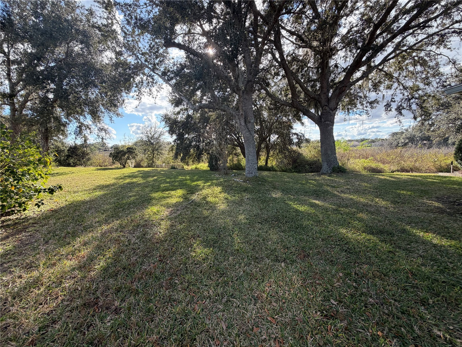 21623 Regency Park Lane Leesburg FL 34748 O6372801 image35