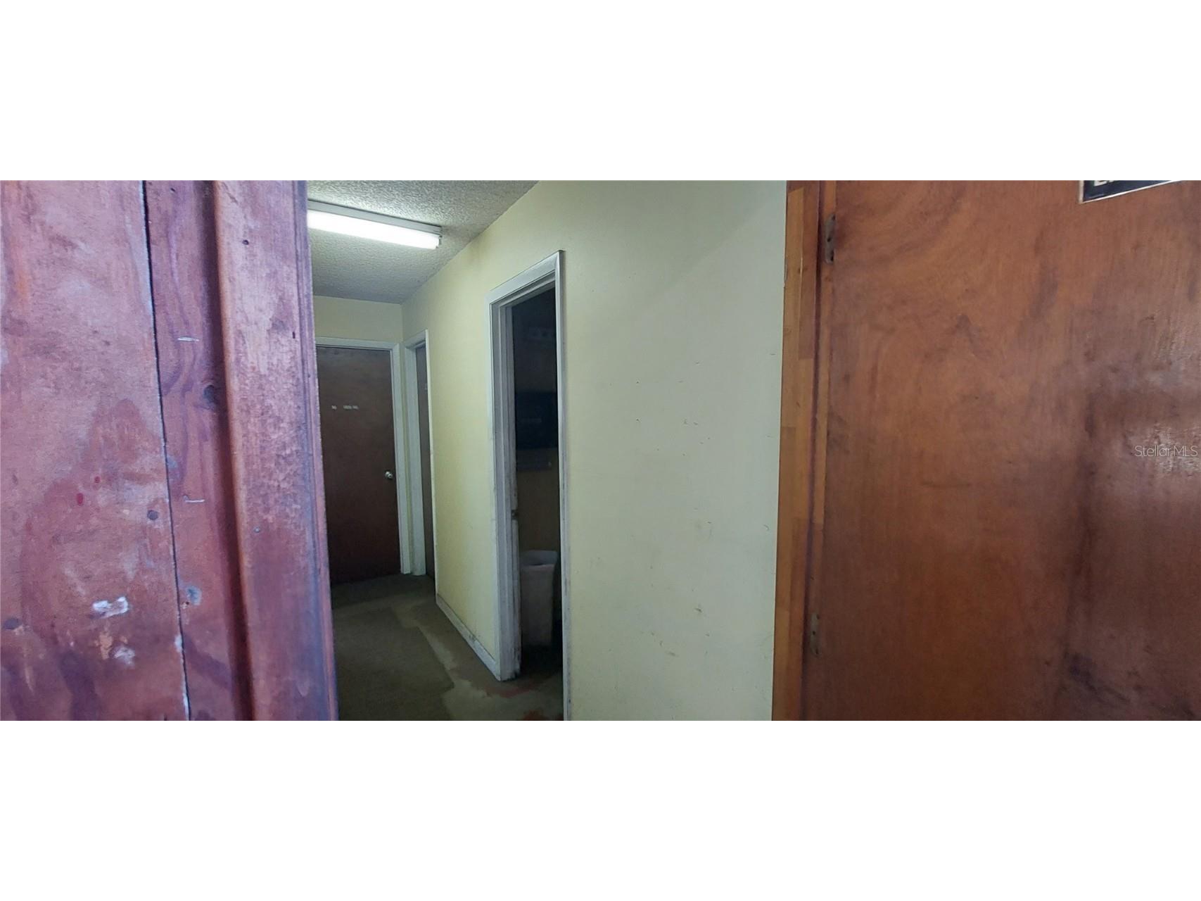 21628 State Road 46 Mount Dora FL 32757 V4932236 image35