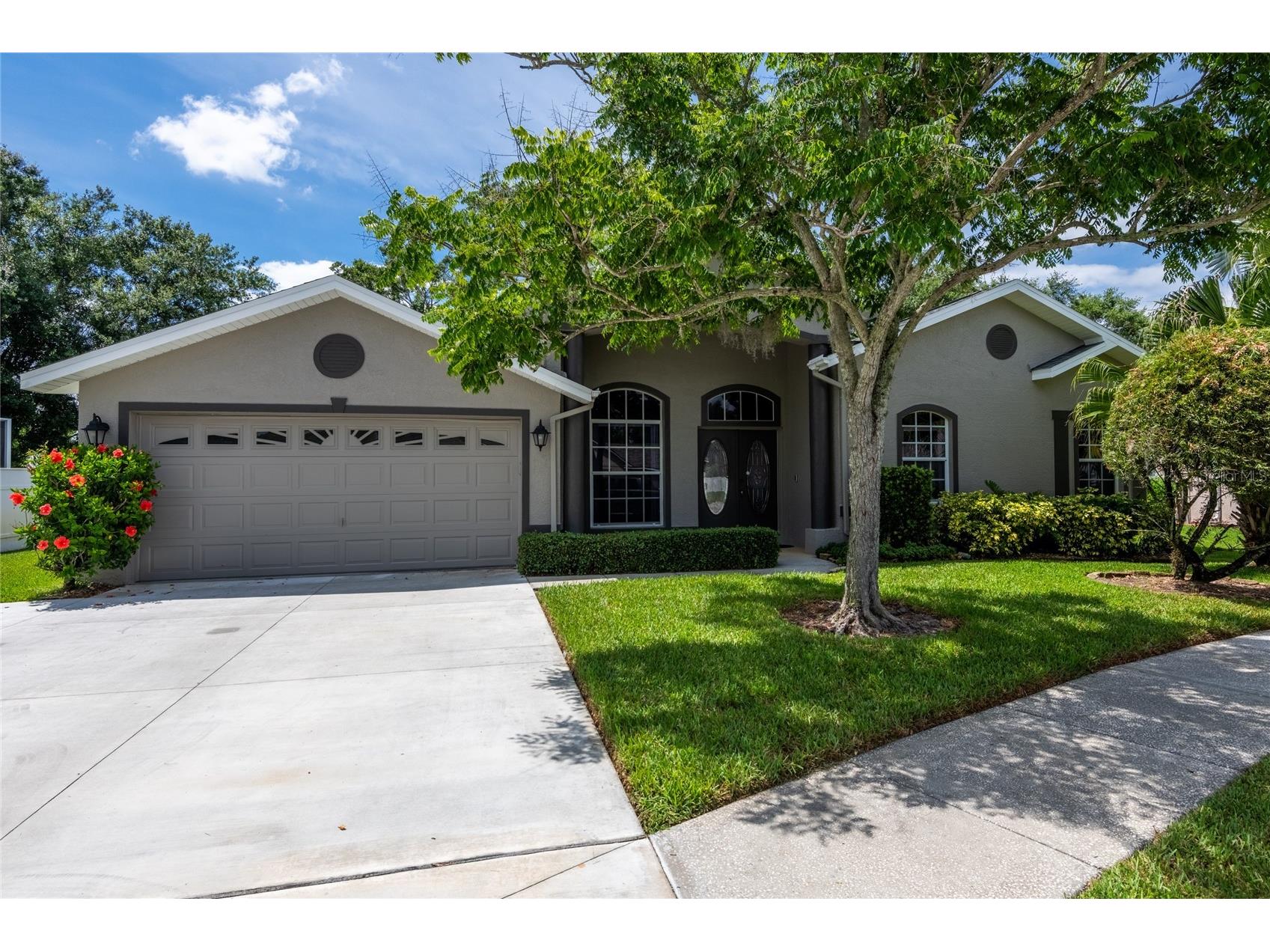 21629 Silver Bay Place Land O Lakes FL 34637 - CURVE LAKE TB8514131 image1
