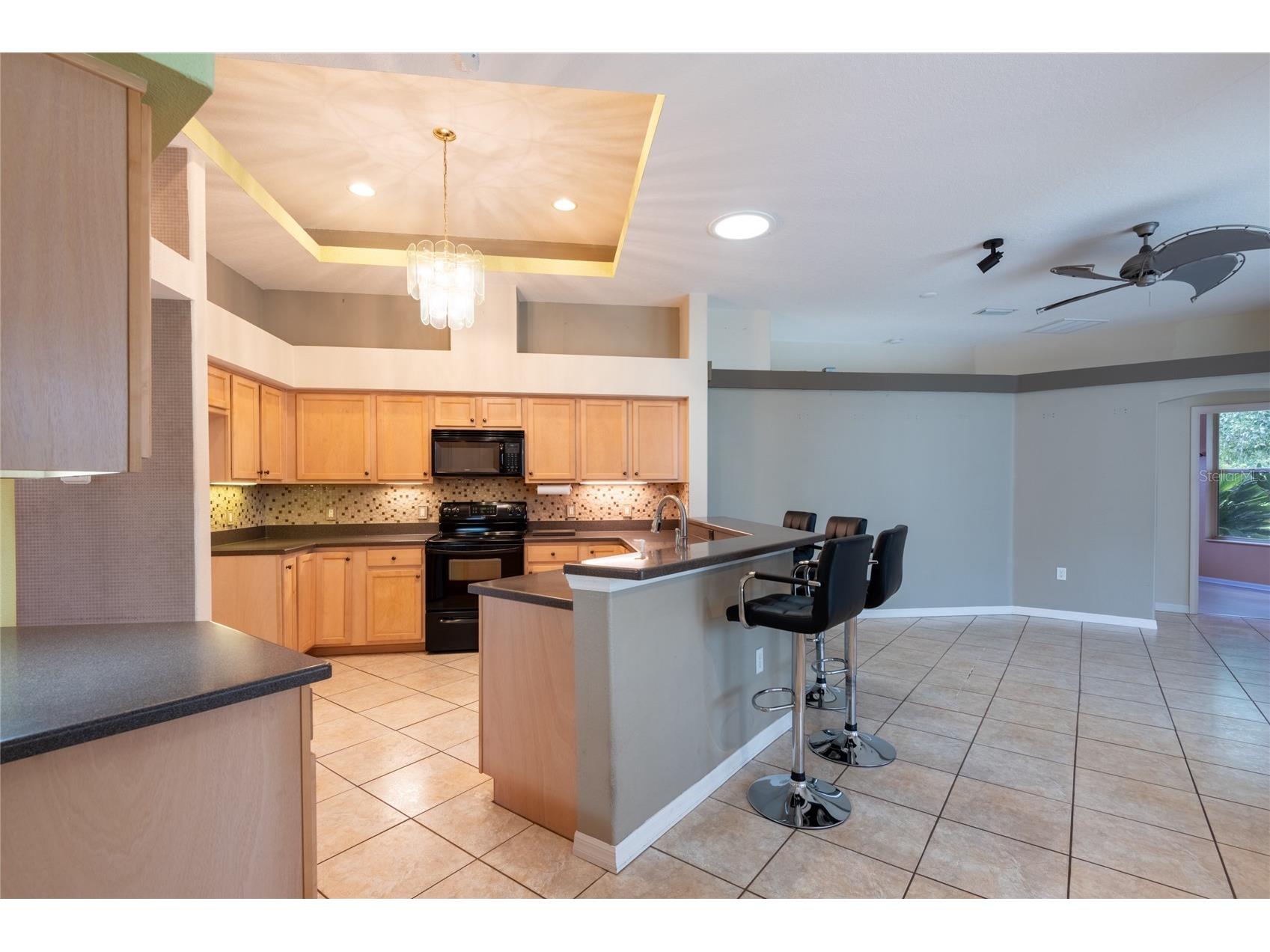 21629 Silver Bay Place Land O Lakes FL 34637 - CURVE LAKE TB8514131 image13