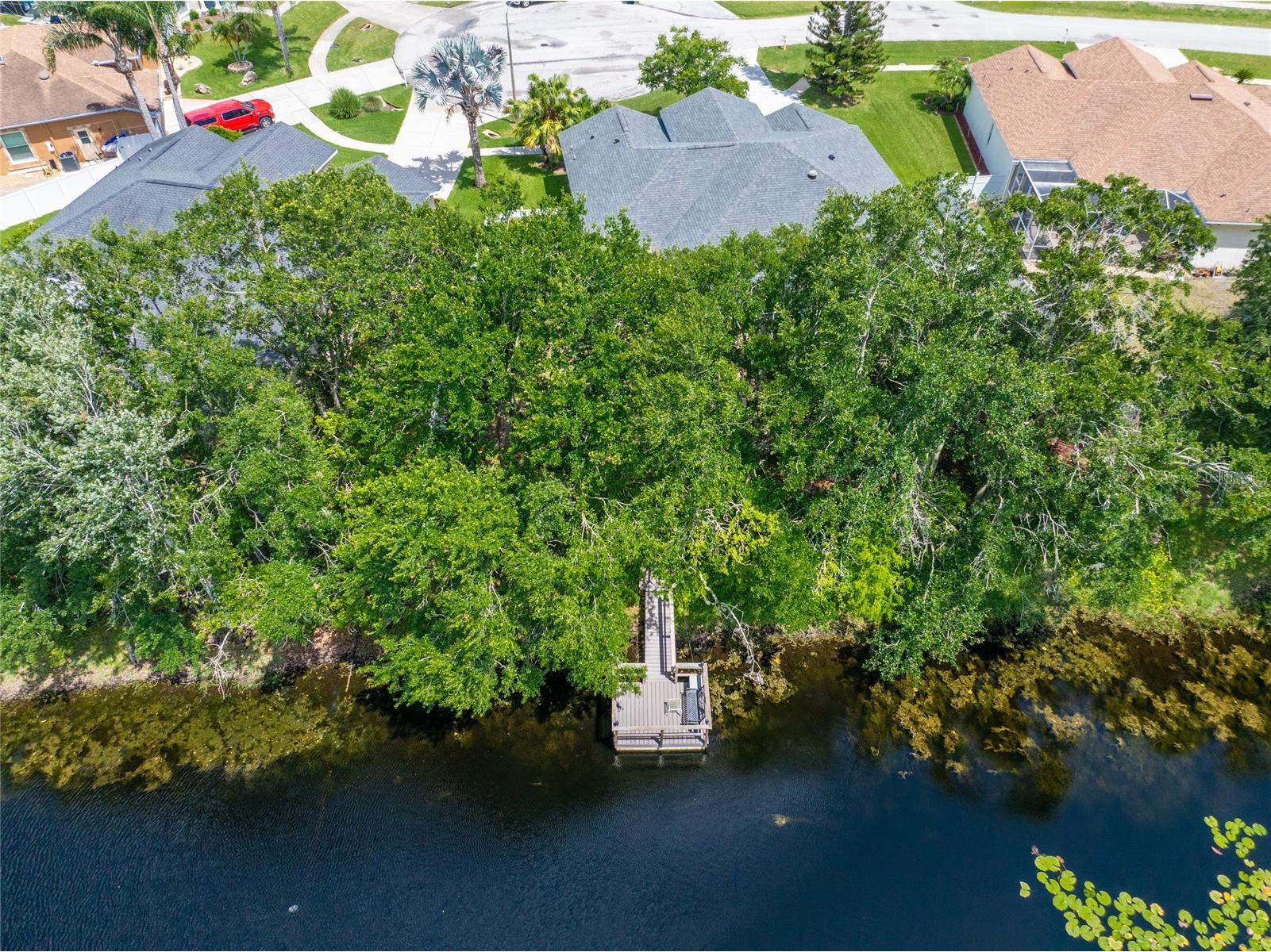 21629 Silver Bay Place Land O Lakes FL 34637 - CURVE LAKE TB8514131 image27