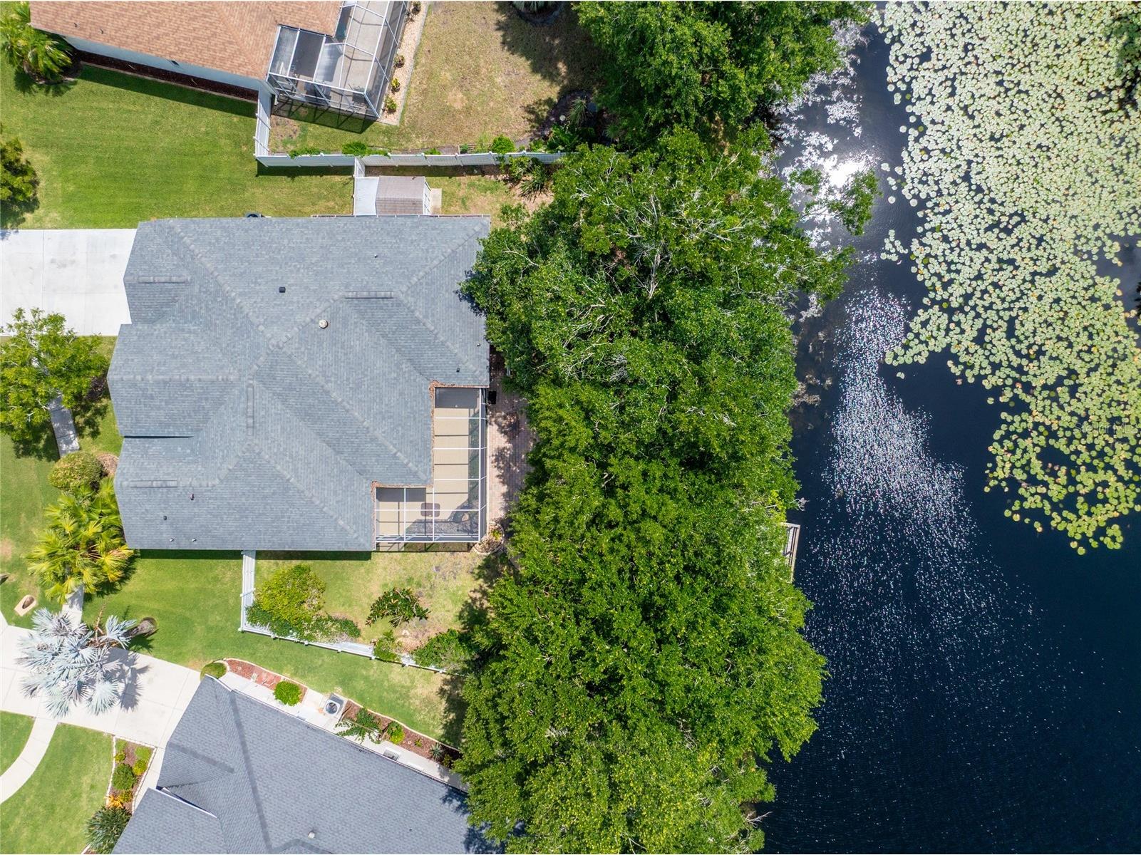 21629 Silver Bay Place Land O Lakes FL 34637 - CURVE LAKE TB8514131 image28