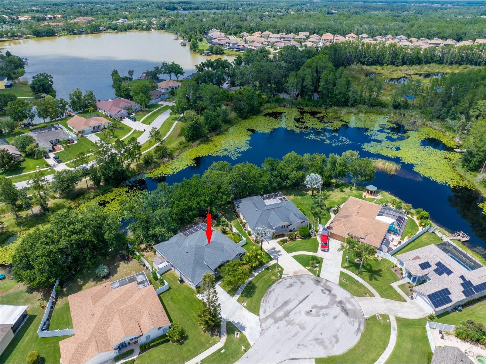 21629 Silver Bay Place Land O Lakes FL 34637 - CURVE LAKE TB8514131 image29