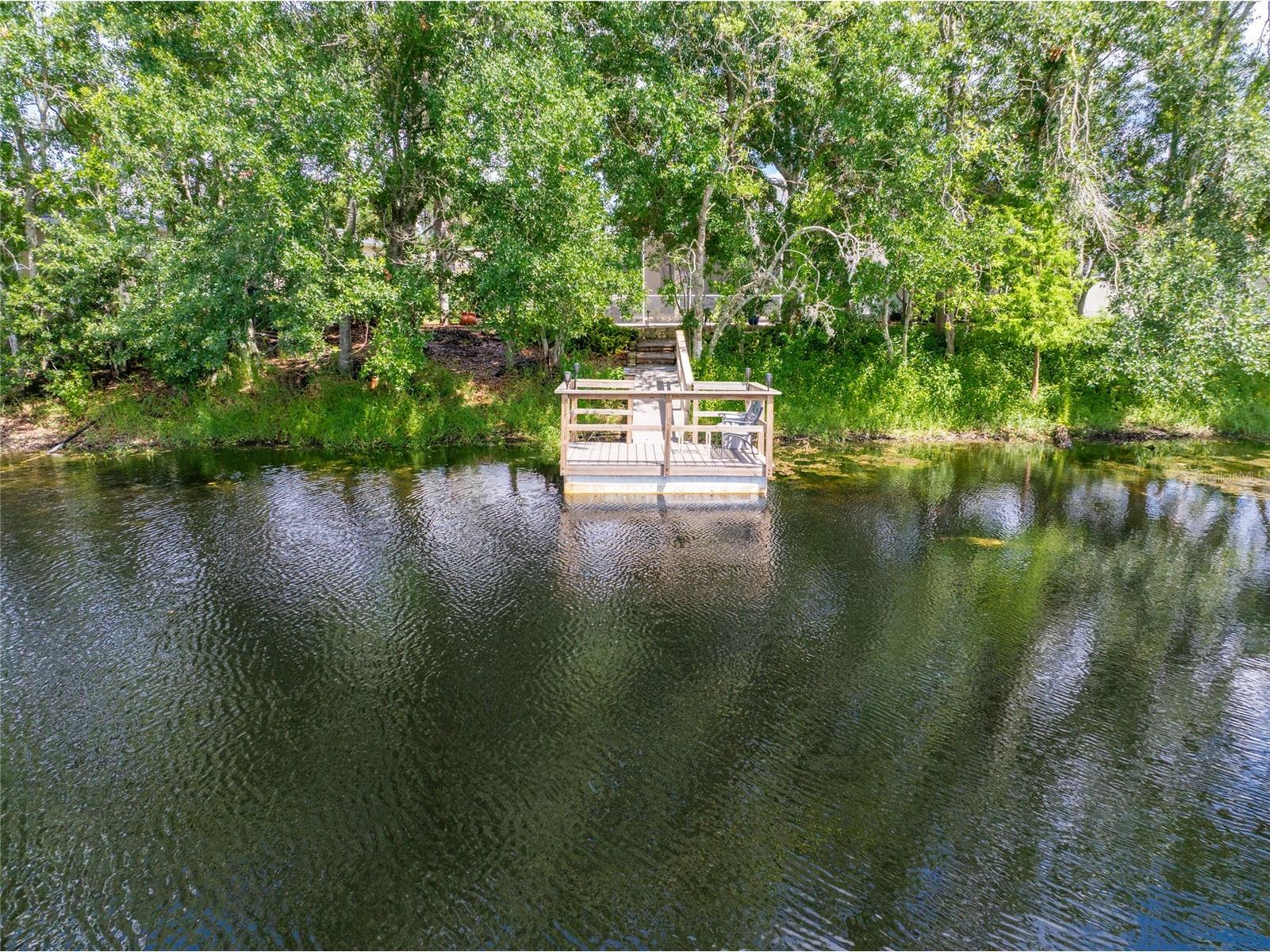 21629 Silver Bay Place Land O Lakes FL 34637 - CURVE LAKE TB8514131 image3