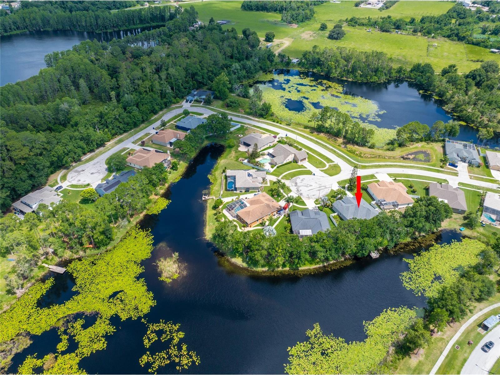 21629 Silver Bay Place Land O Lakes FL 34637 - CURVE LAKE TB8514131 image30