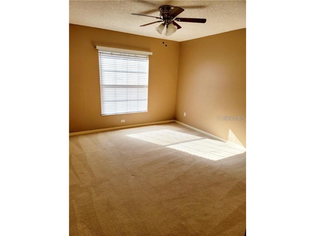 2163 Elm Street #803 Dunedin FL 34698 TB8453254 image11