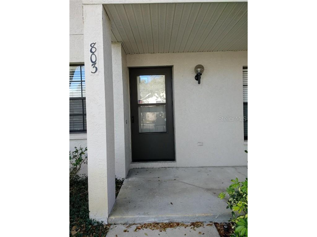 2163 Elm Street #803 Dunedin FL 34698 TB8453254 image2