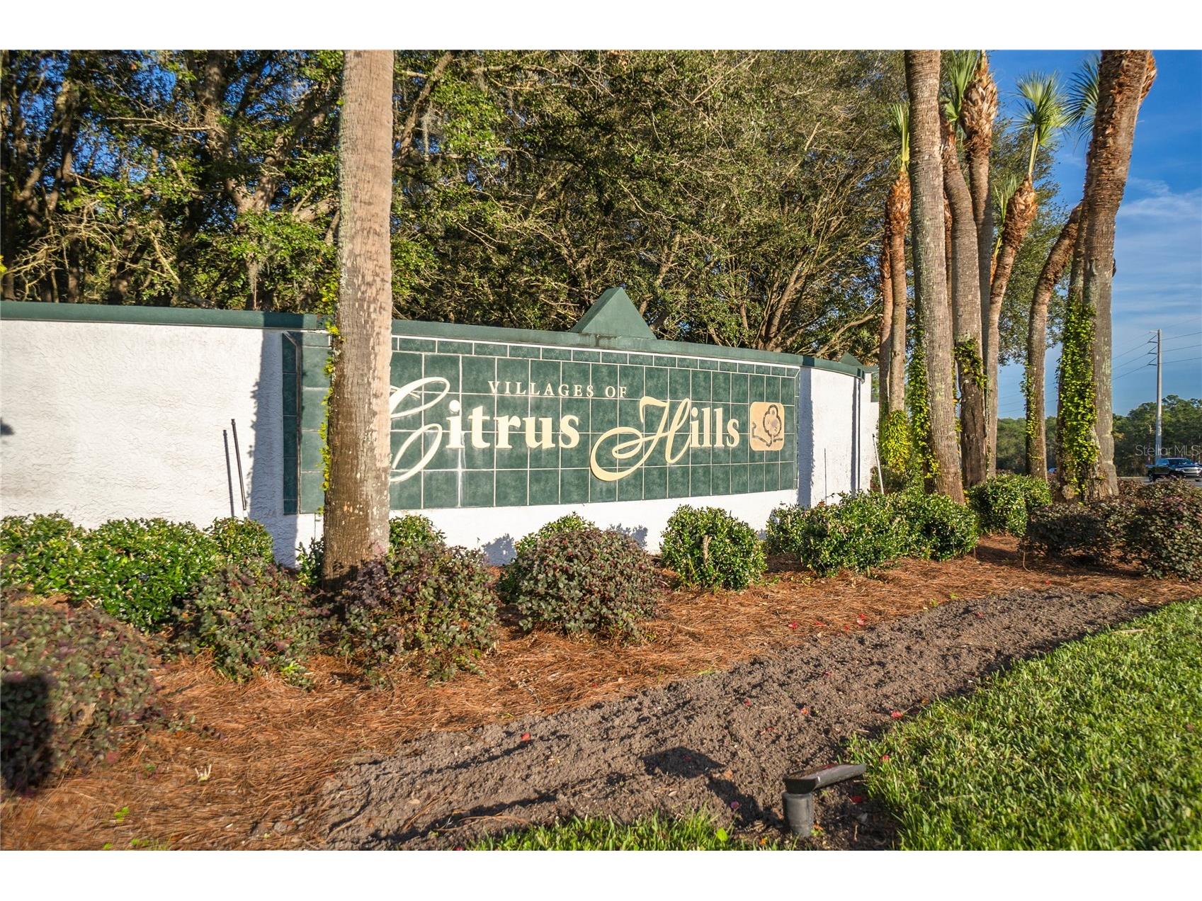 2163 N Brentwood Circle Lecanto FL 34461 OM724127 image46