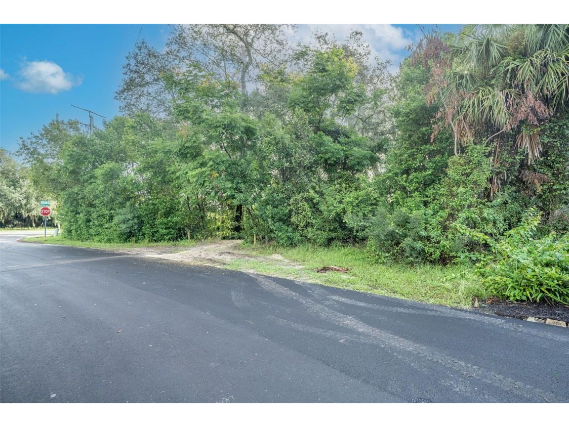 2163 Van Orman Drive Deltona FL 32725 - DUPONT V4945326 image2